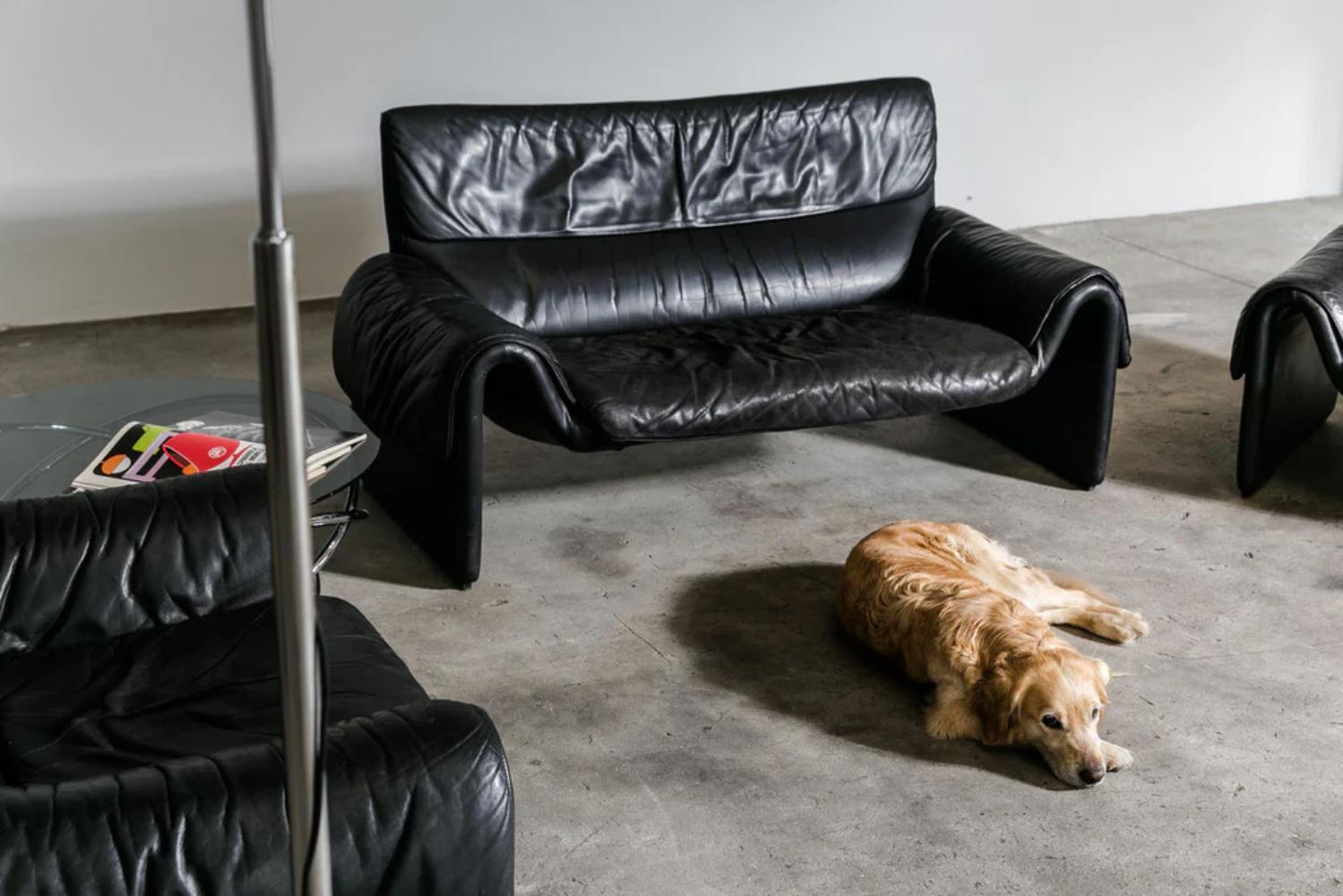 https://a.1stdibscdn.com/de-sede-ds-2011-two-seater-sofa-in-snow-leather-by-de-sede-design-team-for-sale-picture-7/f_16392/f_324460721769595668915/Vintage_Ds_2011_Leather_Sofa_from_De_Sede_1980s_2930_297_1024x_master.jpg