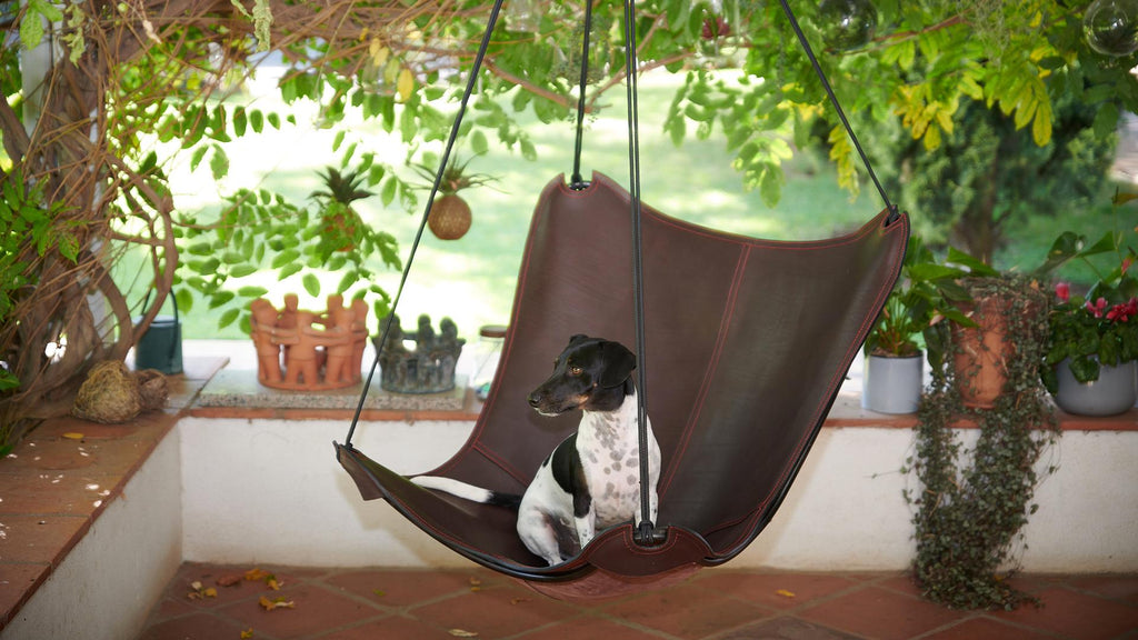 https://a.1stdibscdn.com/a-modern-take-on-the-butterfly-chair-now-hanging-chair-for-sale-picture-8/f_32773/f_338052221681472949489/Web_Butterfly_swing_seat_2_master.jpg