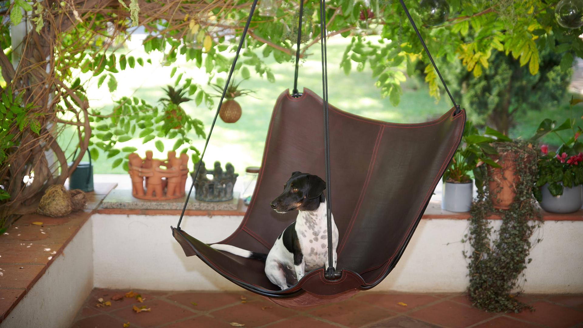https://a.1stdibscdn.com/a-modern-take-on-the-butterfly-chair-now-hanging-chair-for-sale-picture-8/f_32773/f_338052221681472949489/Web_Butterfly_swing_seat_2_master.jpg