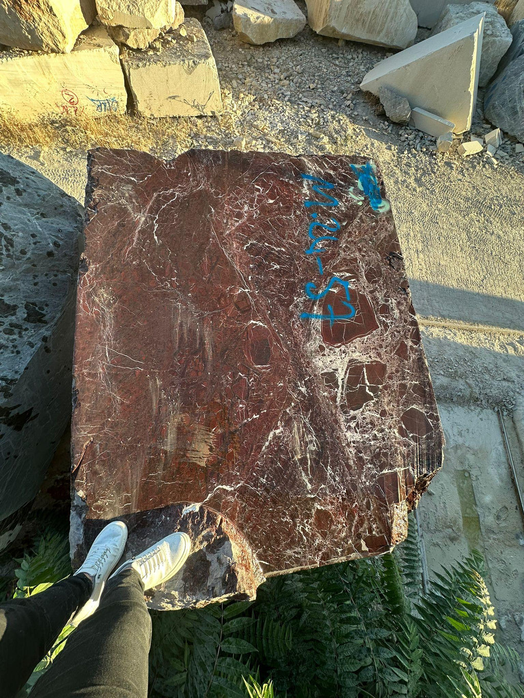 https://a.1stdibscdn.com/luxurious-red-italian-marble-rosso-levanto-marble-dining-table-for-sale-picture-12/f_91932/f_474032021762424148906/WhatsApp_Image_2025_11_06_at_13_14_58_2__master.jpeg