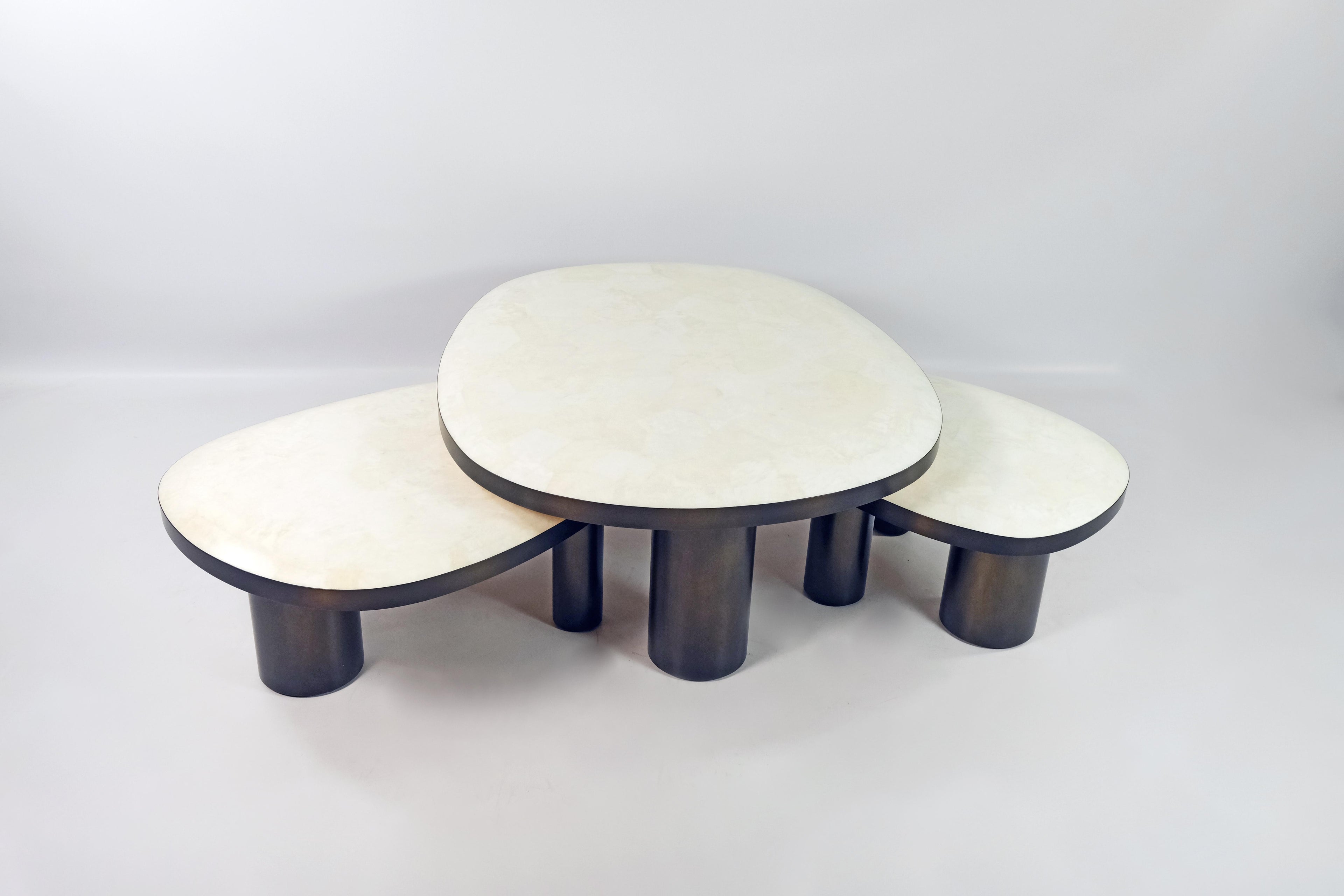 https://a.1stdibscdn.com/set-of-organic-coffee-tables-in-rock-crystal-and-bronzed-finish-by-ginger-brown-for-sale-picture-2/f_56622/f_423880221732101390887/XT3X5459_master.JPG