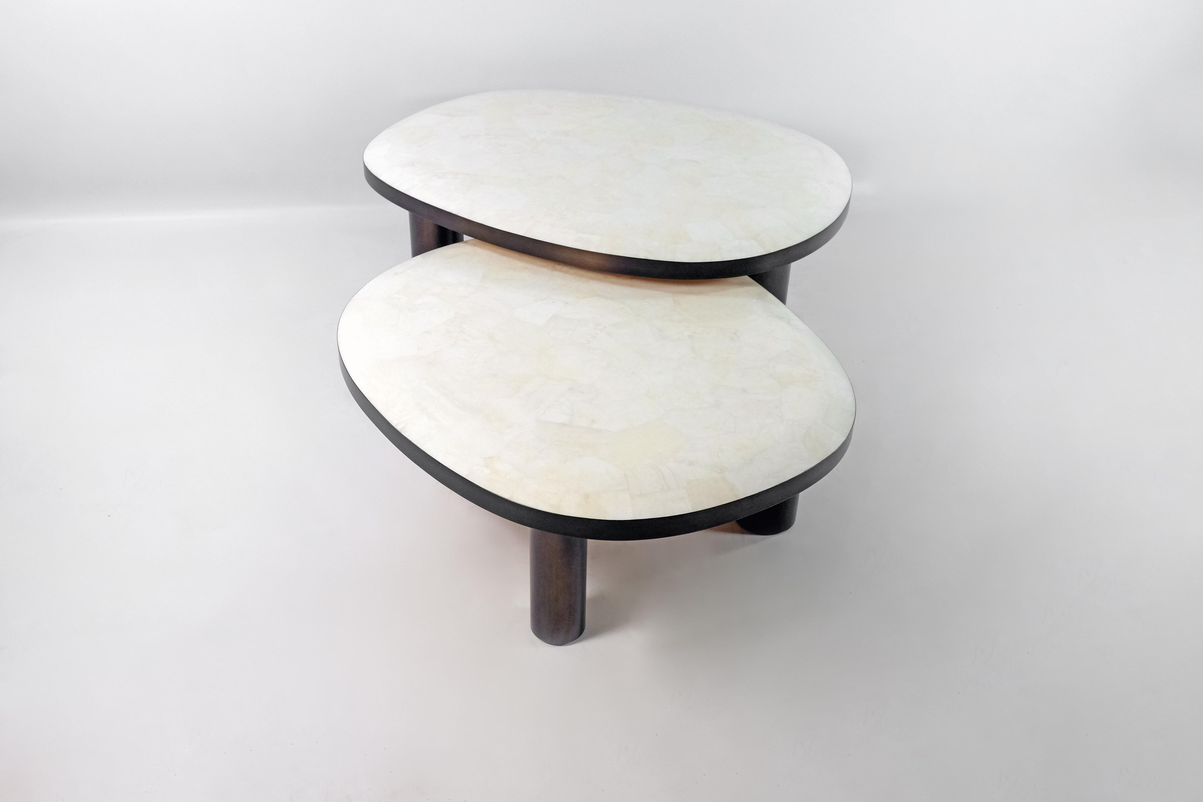 https://a.1stdibscdn.com/set-of-organic-coffee-tables-in-rock-crystal-and-bronzed-finish-by-ginger-brown-for-sale-picture-2/f_56622/f_423949721732124292119/XT3X5491_master.JPG