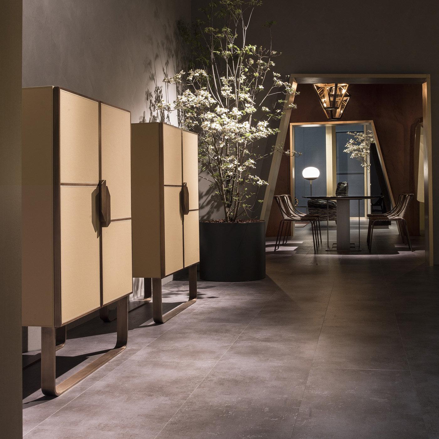 https://a.1stdibscdn.com/twin-ed-20-309-cabinet-by-studio-mamo-for-sale-picture-2/f_17062/f_452300121748524565451/ZAEDMB_031_D20191004_6_1vfbqfj_master.jpg