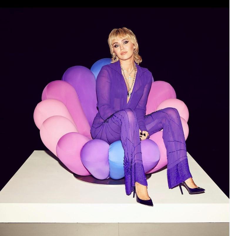 https://a.1stdibscdn.com/21st-century-giancarlo-zema-anemone-armchair-multicolor-purple-pink-elasticated-for-sale-picture-3/f_52352/f_291026621663918895312/anemone_e_Miley_Cyrus_master.jpg
