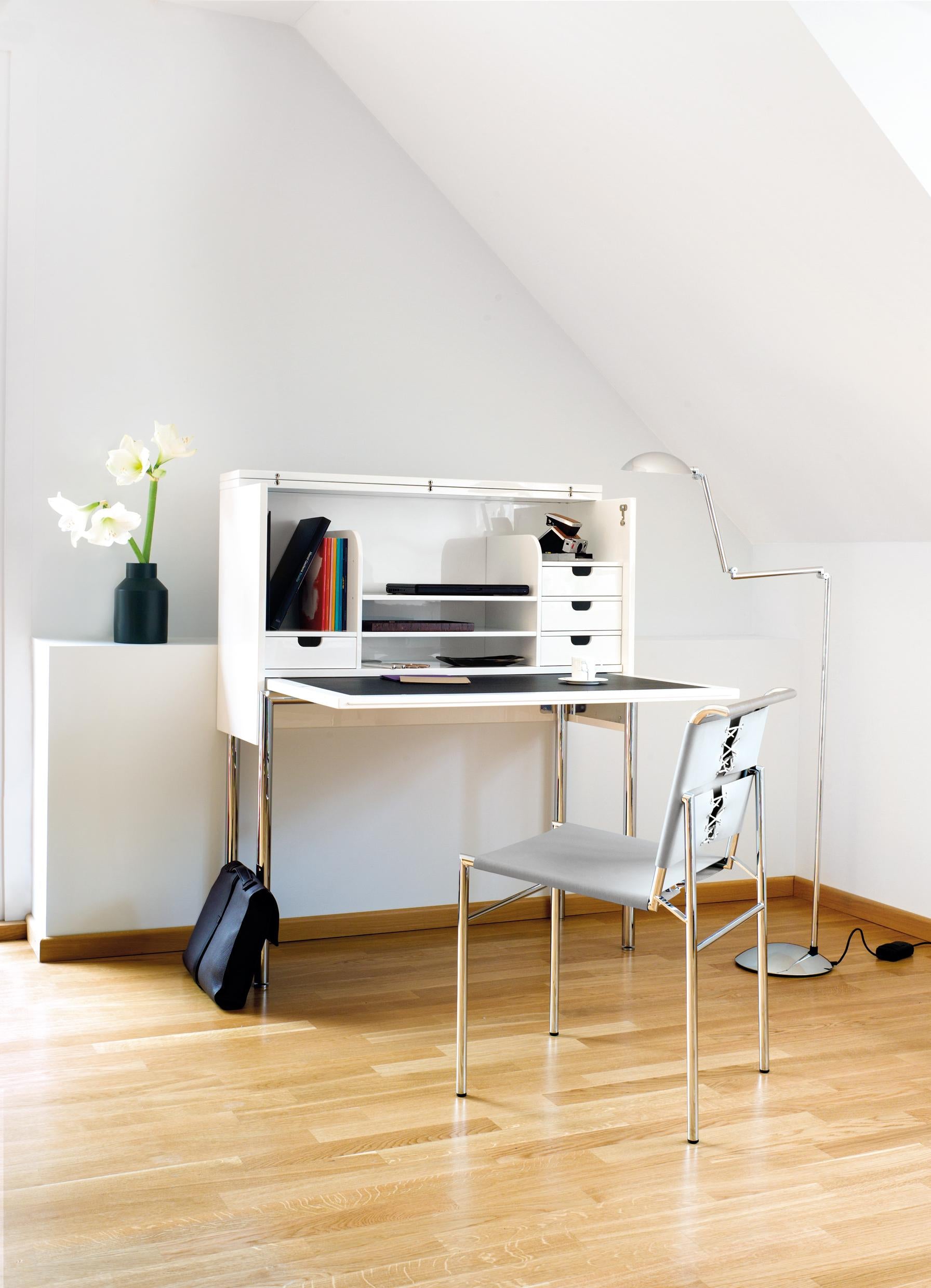 https://a.1stdibscdn.com/classicon-roquebrune-chair-in-black-with-chrome-legs-by-eileen-gray-for-sale-picture-3/12330573/f_138515611551436518711/breidt_orcus_roquebrune_orbis_1__master.jpg