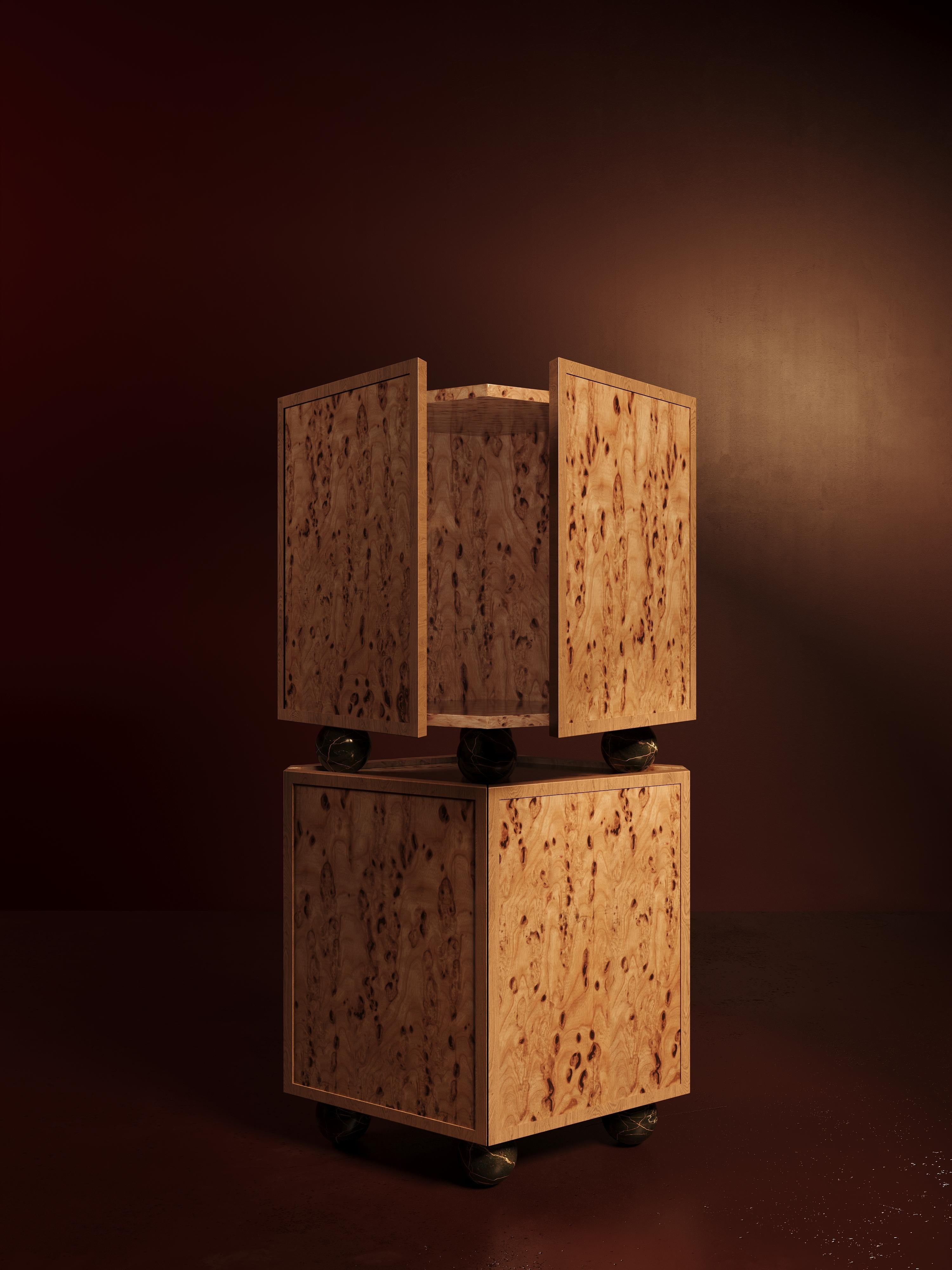 https://a.1stdibscdn.com/piltan-modular-cabinet-in-burl-walnut-with-marble-base-by-vandavee-for-sale-picture-6/f_105032/f_458503821759784017375/cabinetB_4_master.jpg