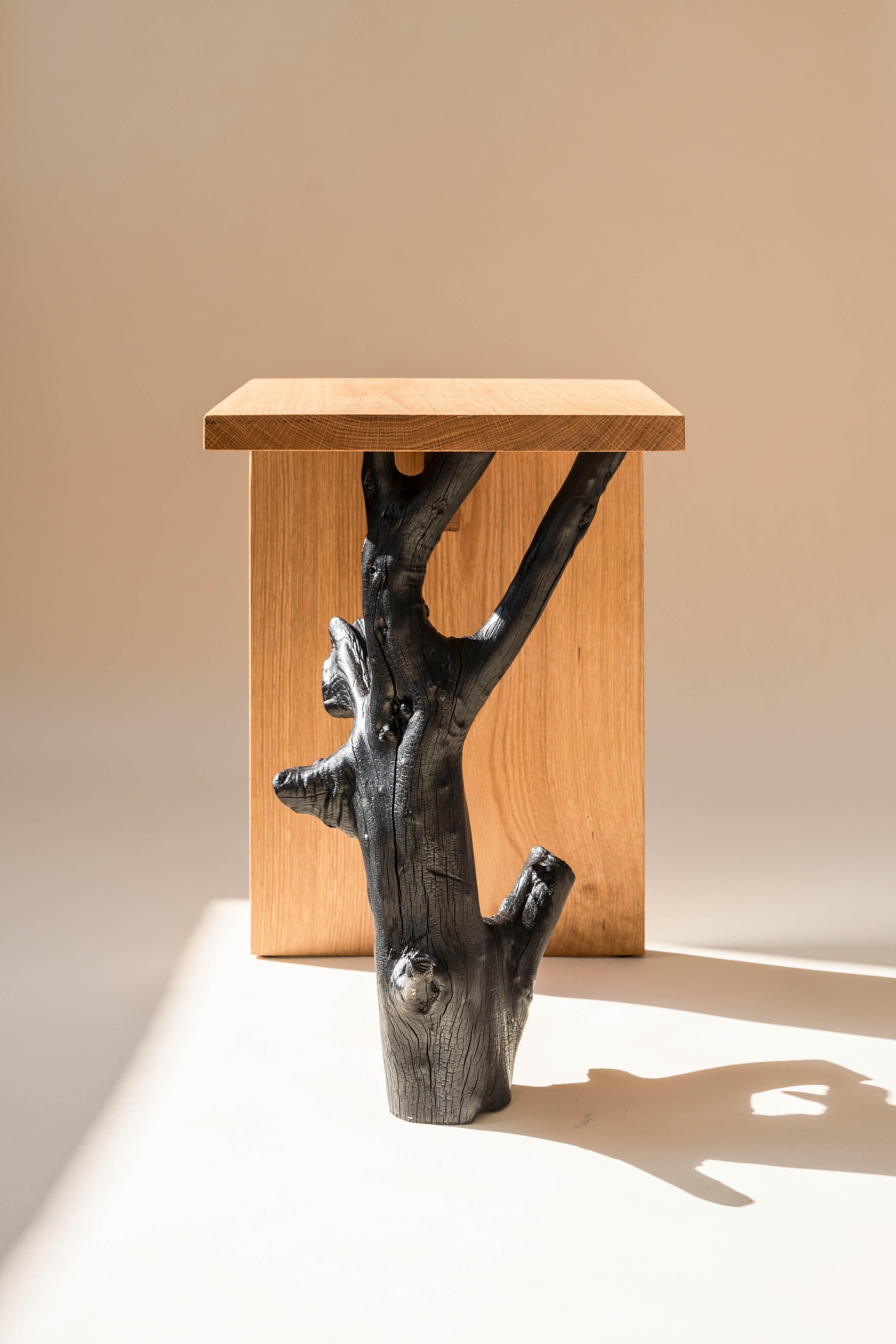 https://a.1stdibscdn.com/oak-root-stool-by-daniel-elkayam-for-sale-picture-3/f_12192/f_319736421672317127269/chair_stool_3_master.jpg