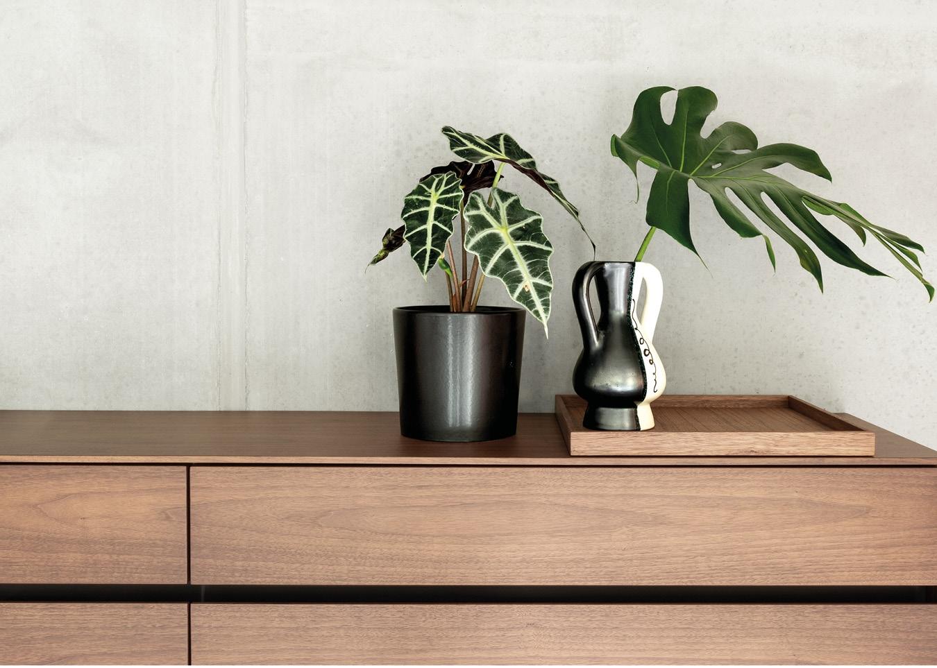 https://a.1stdibscdn.com/customizable-schonbuch-cover-shoe-cabinet-by-schonbuch-team-for-sale-picture-6/f_44652/f_405314021720466421173/cover_moebel_aufbewahrung_6_nussbaum_schoenbuch_master.jpg