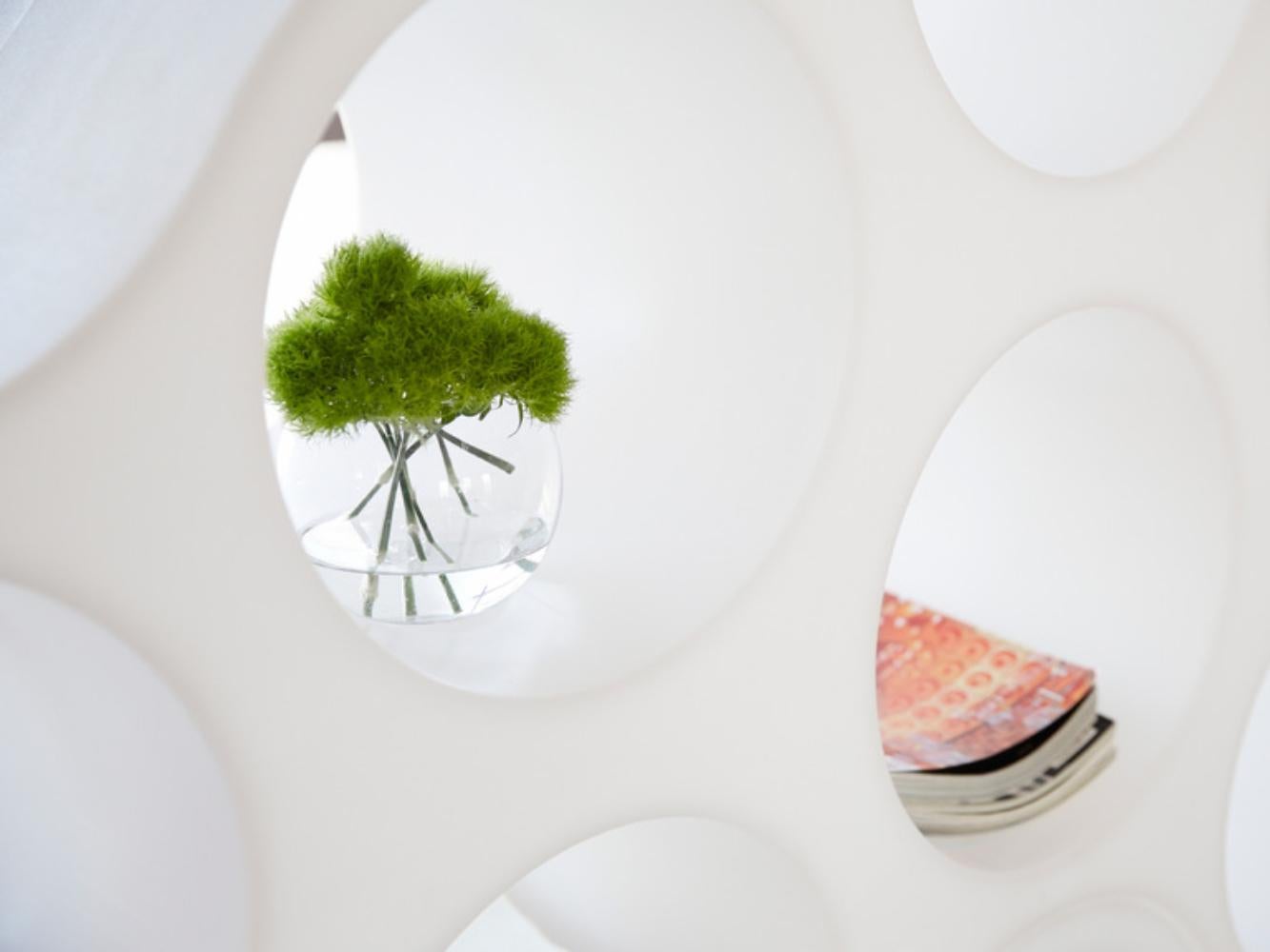 https://a.1stdibscdn.com/cloud-bookshelf-by-erwan-bouroullec-ronan-bouroullec-for-cappellini-for-sale-picture-4/f_16392/f_478332721764858610488/cq5dam_thumbnail_768_768_15_1__master.jpg