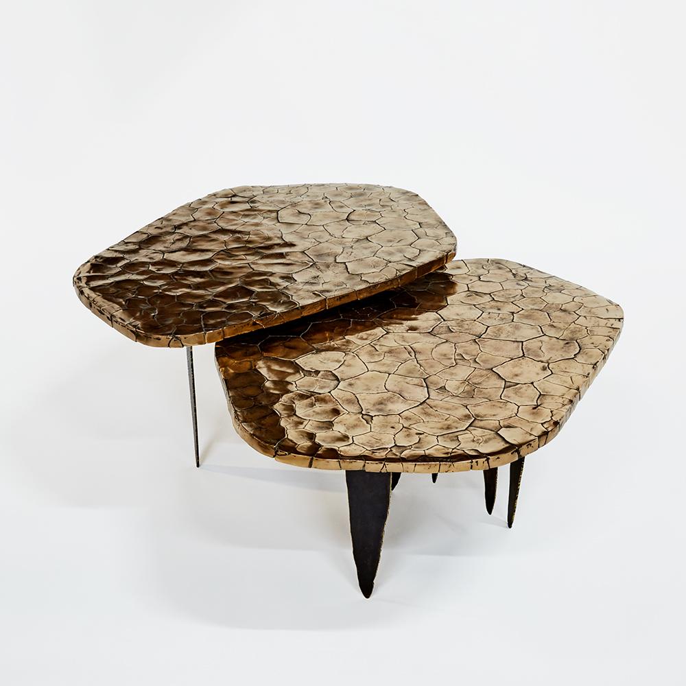 https://a.1stdibscdn.com/crackled-earth-coffee-table-by-erwan-boulloud-for-sale-picture-8/f_9680/f_382482021707041552601/eb_08_06_219356_master.jpg