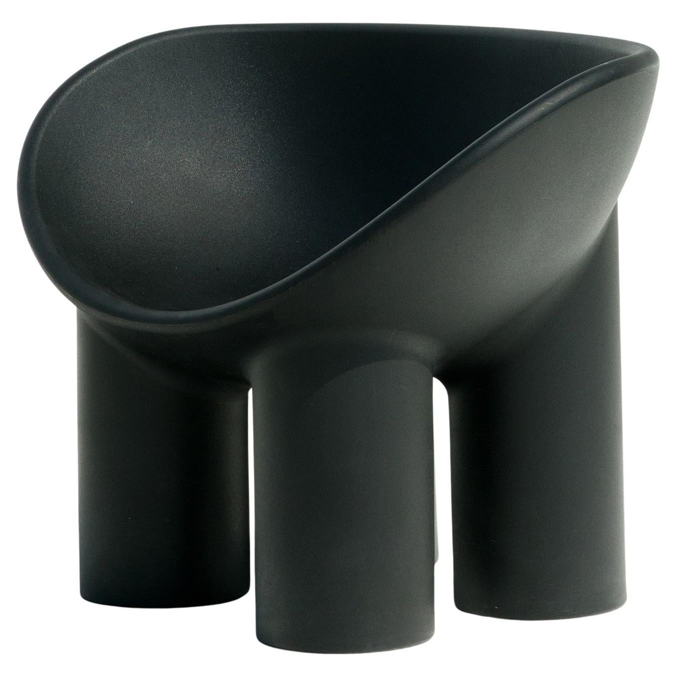 https://a.1stdibscdn.com/roly-poly-polyethylene-armchair-in-charcoal-by-faye-toogood-for-driade-for-sale/f_16392/f_108802131761057528664/f_10880213_1761057529020_bg_processed.jpg