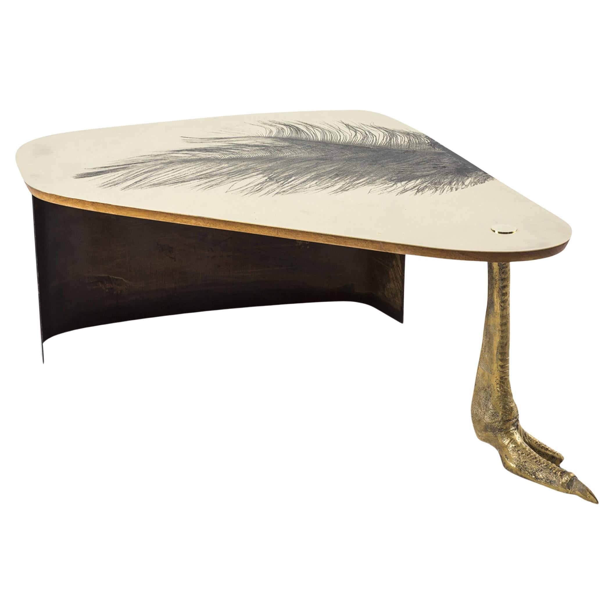 https://a.1stdibscdn.com/cast-brass-etched-brass-and-burnished-steel-ostrich-coffee-table-by-egg-designs-for-sale/f_38931/f_122799611760180867366/f_12279961_1760180867955_bg_processed.jpg