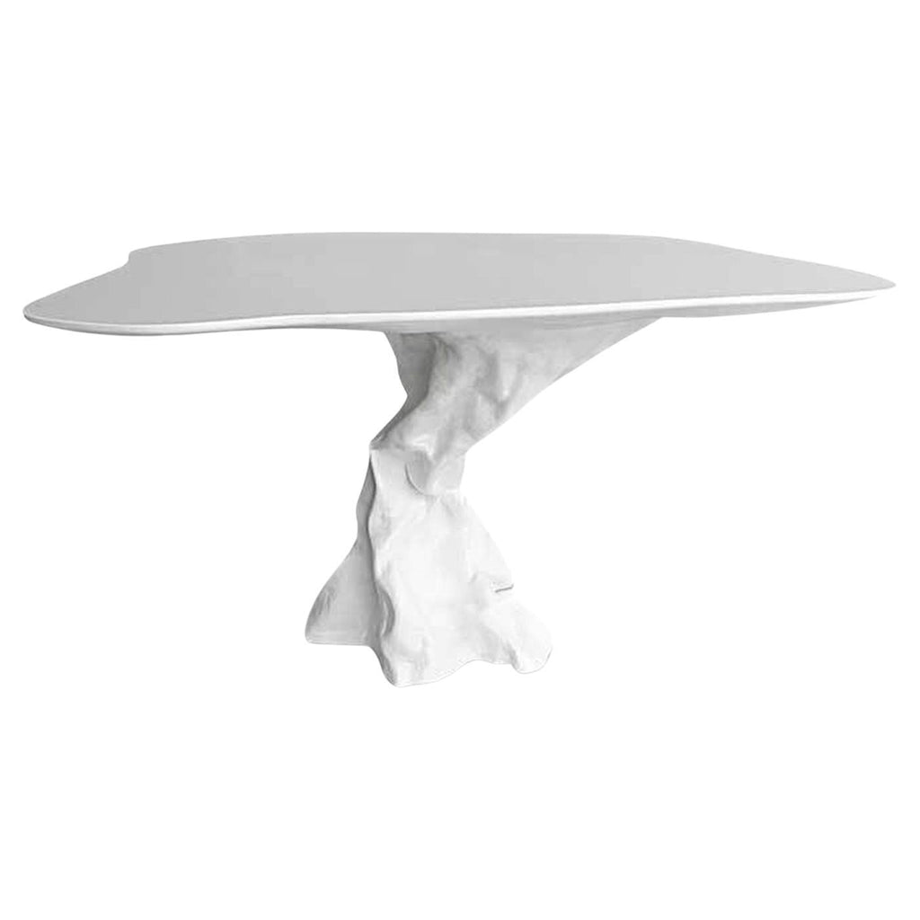 https://a.1stdibscdn.com/outdoor-organic-shaped-dining-table-in-white-lacquer-for-sale/f_27693/f_262991821637992428826/f_26299182_1637992429053_bg_processed.jpg