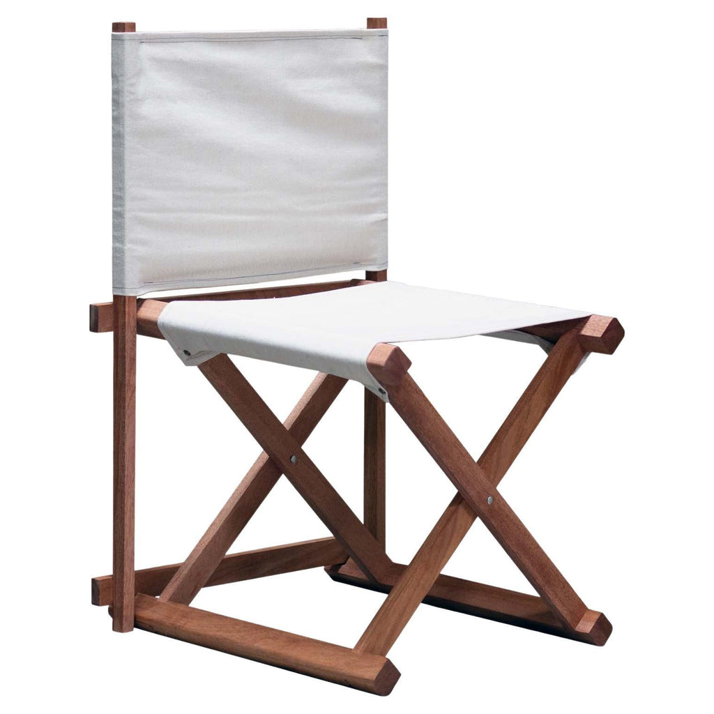 https://a.1stdibscdn.com/paolo-mahogany-and-canvas-folding-directors-chair-for-sale/f_48391/f_279941621648506816070/f_27994162_1648506816457_bg_processed.jpg