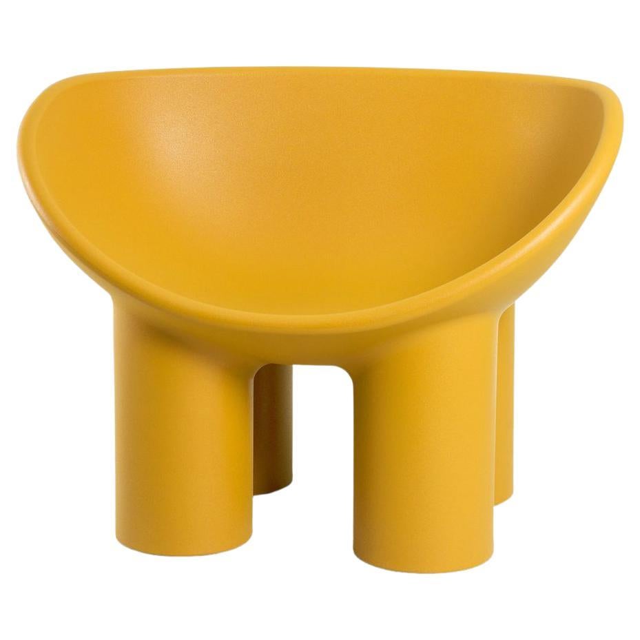 https://a.1stdibscdn.com/in-stock-roly-poly-armchair-ochre-by-driade-faye-toogood-for-sale/f_10794/f_447623921745621652728/f_28915002_1654079398316_bg_processed.jpg