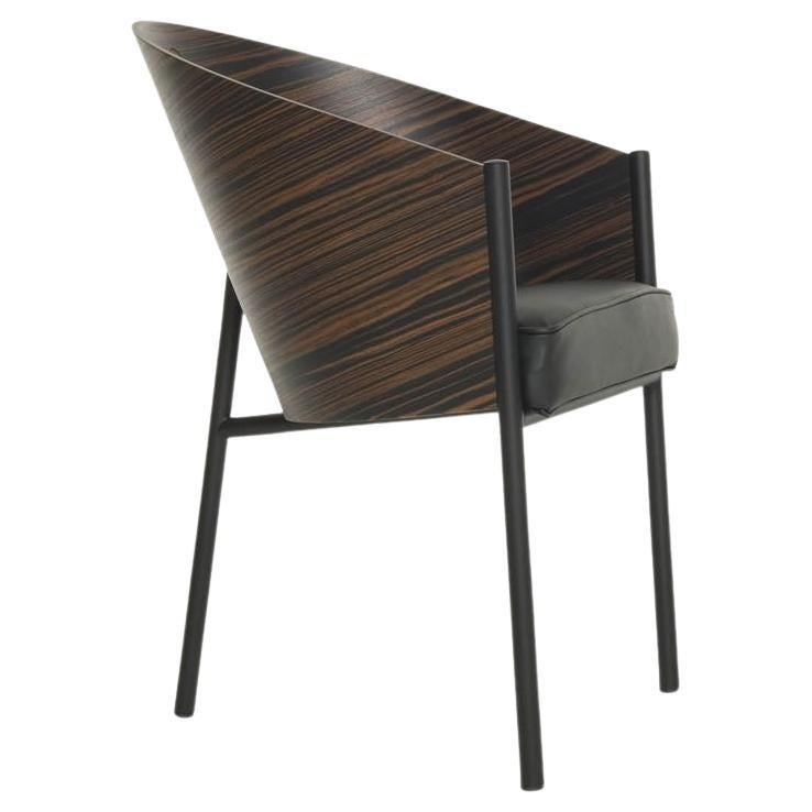 https://a.1stdibscdn.com/costes-armchair-natural-wenge-by-driade-for-sale/f_10794/f_289287921654150378801/f_28928792_1654150379043_bg_processed.jpg
