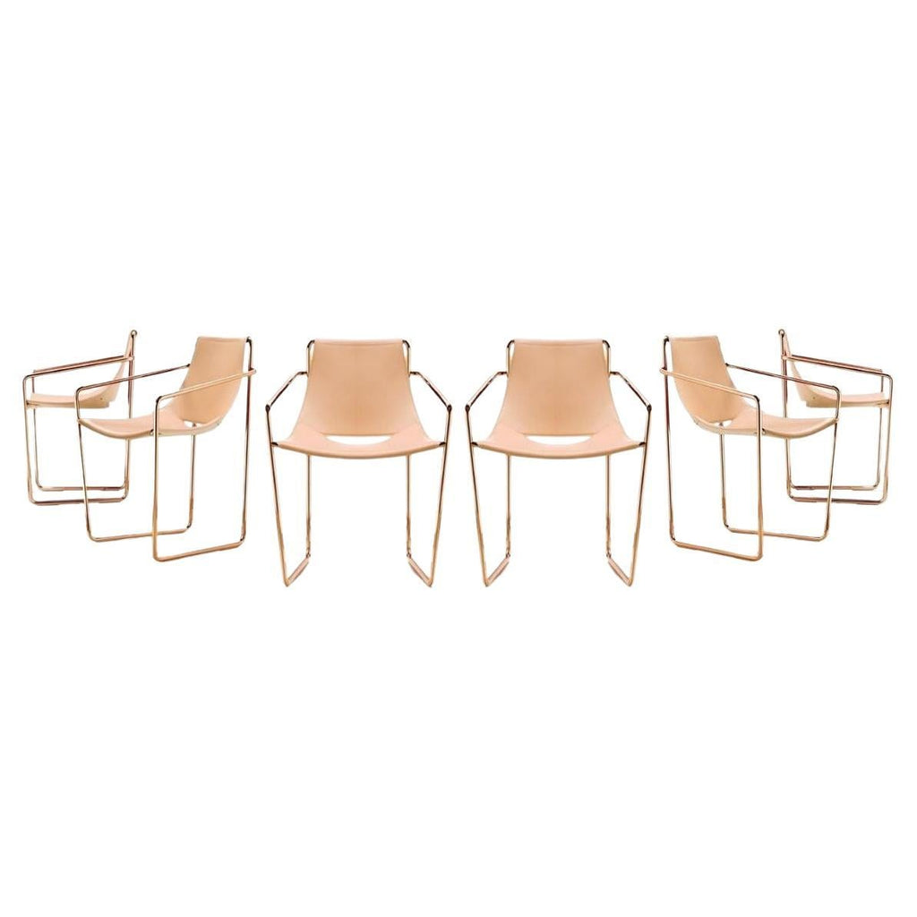 https://a.1stdibscdn.com/in-stock-italian-dining-armchairs-in-leather-set-of-6-for-sale/f_27693/f_301301621730156953807/f_30130162_1730156954108_bg_processed.jpg