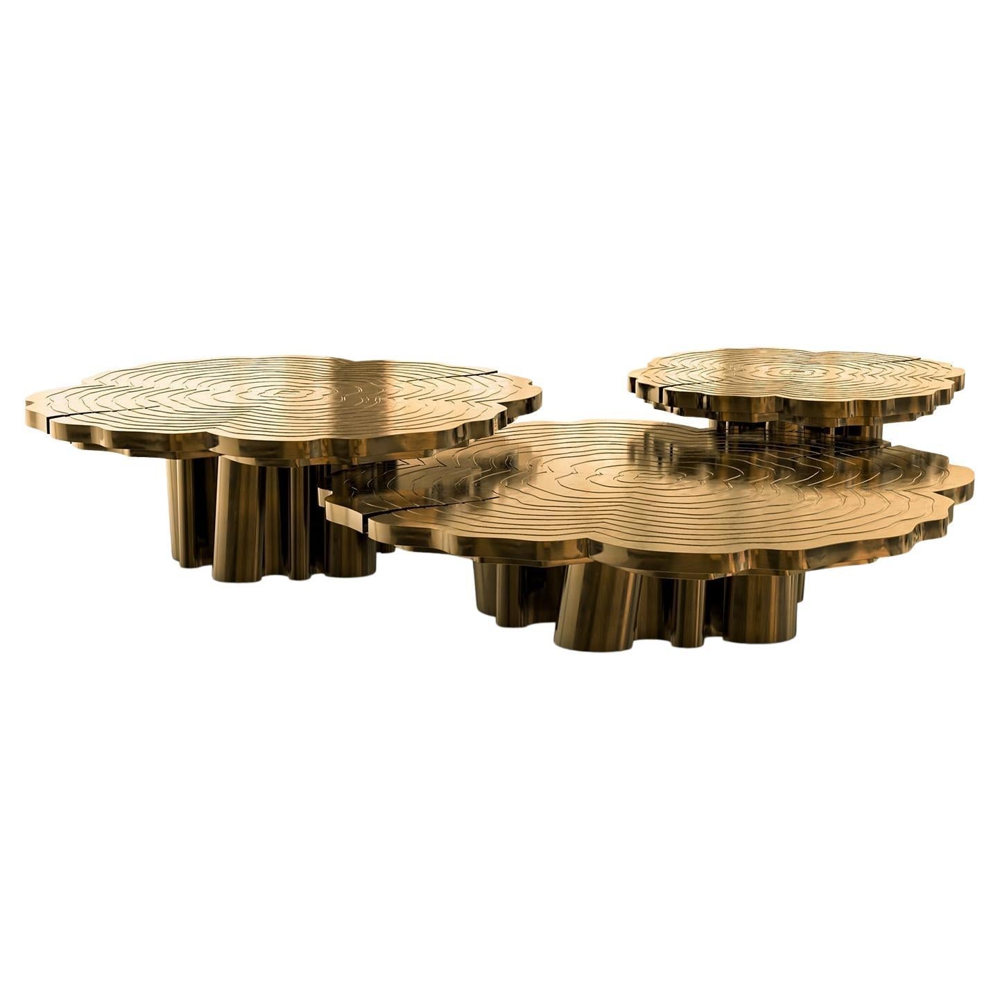 https://a.1stdibscdn.com/tresor-patinated-set-of-3-coffee-table-for-sale/f_14282/f_430015721735918993116/f_31878302_1671713344729_bg_processed.jpg