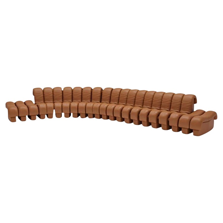 https://a.1stdibscdn.com/de-sede-ds-600-non-stop-shape-modular-sofa-in-brown-with-adjustable-elements-for-sale/f_16392/f_324032021769093149057/f_32403202_1769093149480_bg_processed.jpg?width=768