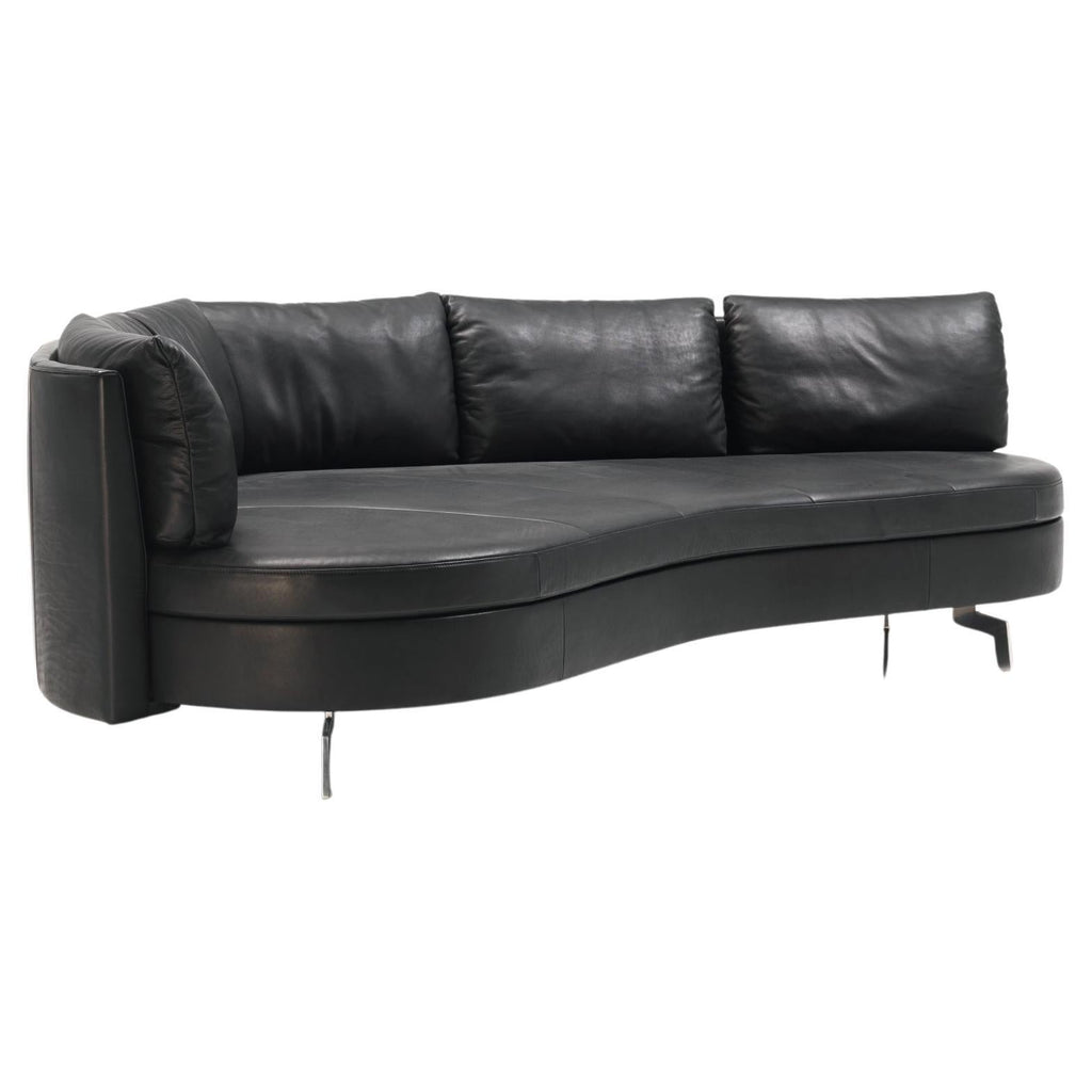https://a.1stdibscdn.com/de-sede-ds-167-sofa-with-movable-backrest-in-black-upholstery-by-hugo-de-ruiter-for-sale/f_16392/f_324070621769383750744/f_32407062_1769383751120_bg_processed.jpg
