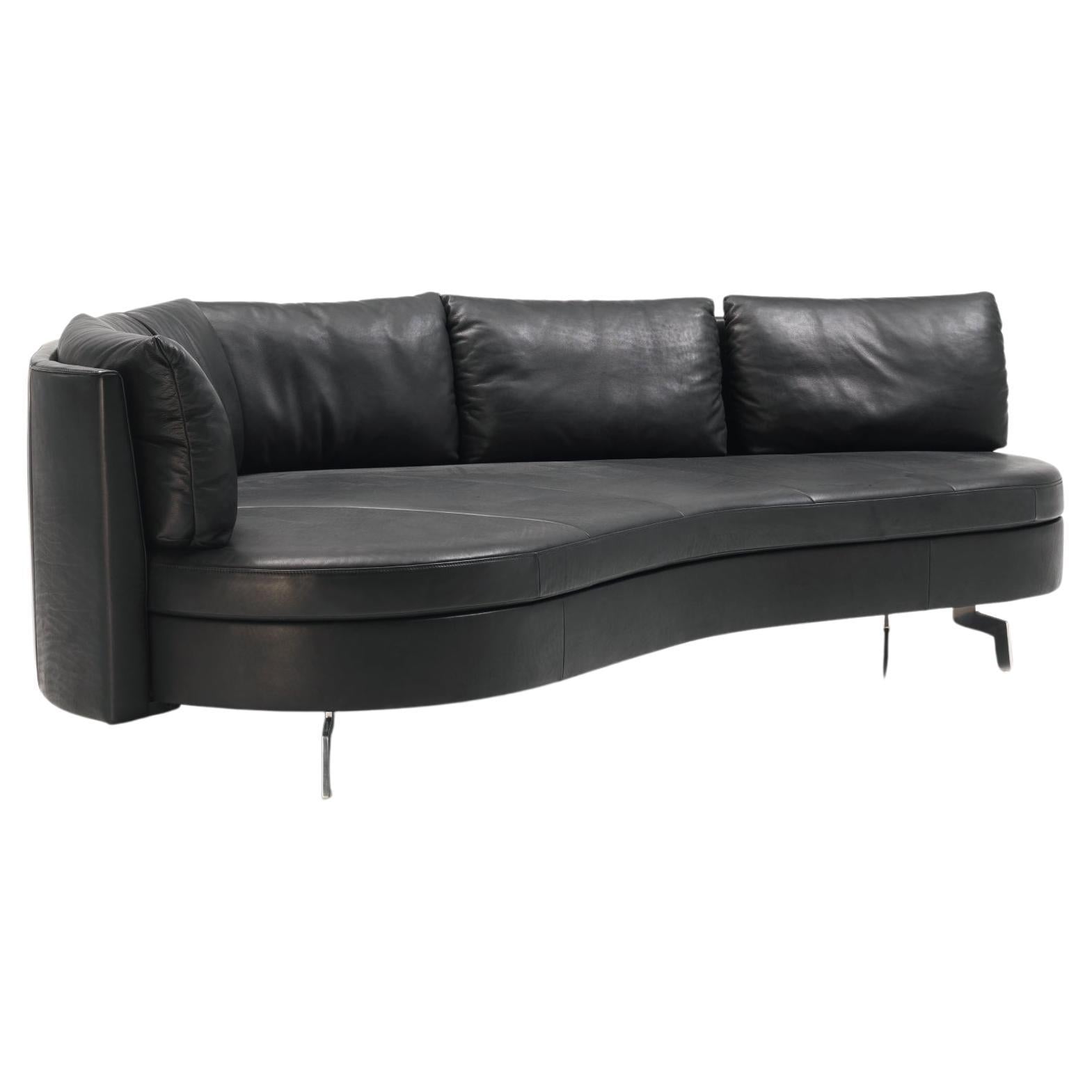 https://a.1stdibscdn.com/de-sede-ds-167-sofa-with-movable-backrest-in-black-upholstery-by-hugo-de-ruiter-for-sale/f_16392/f_324070621769383750744/f_32407062_1769383751120_bg_processed.jpg