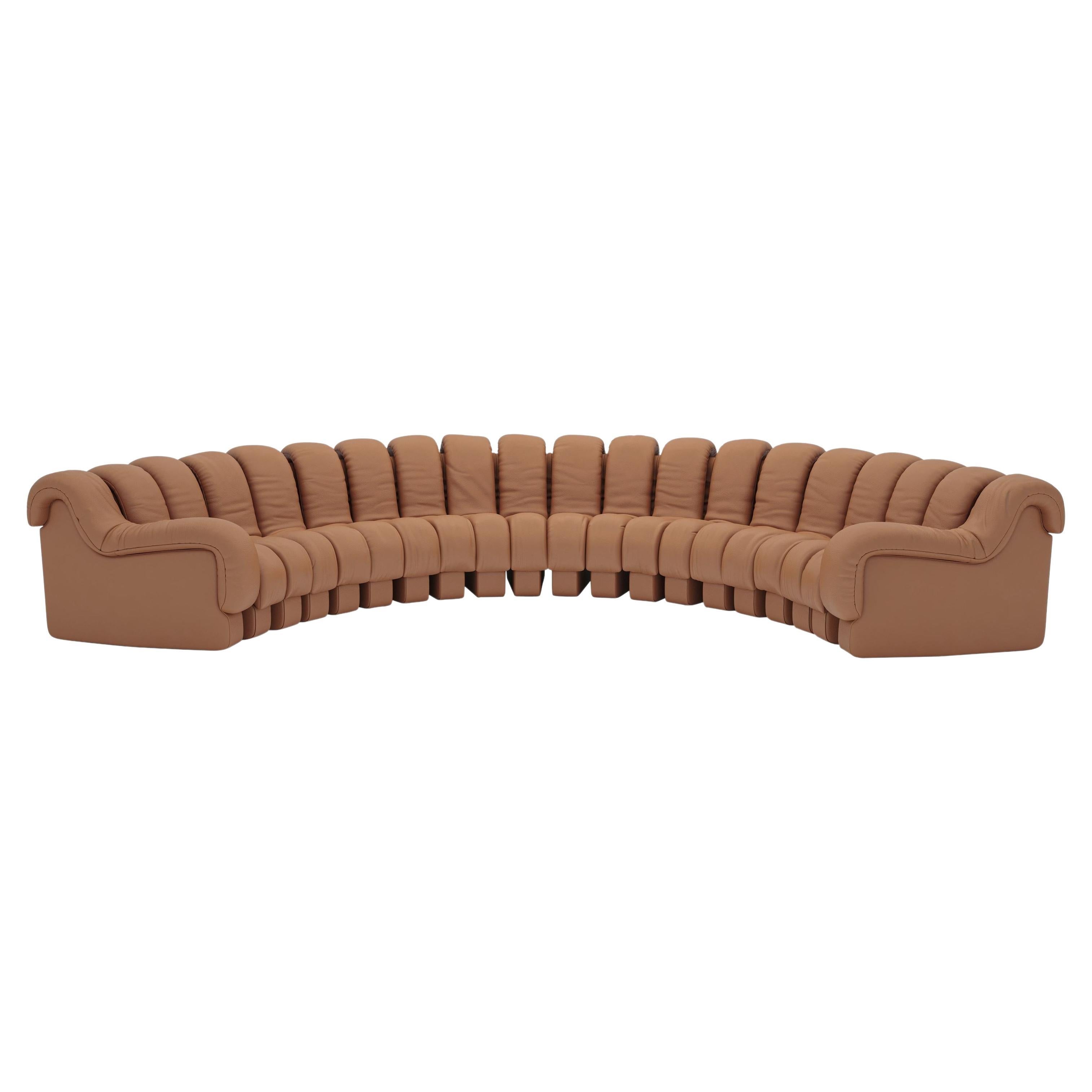 https://a.1stdibscdn.com/de-sede-ds-600-non-stop-shape-modular-sofa-adjustable-elements-for-sale/22569652/f_324087521674646923438/f_32408752_1674646924173_bg_processed.jpg