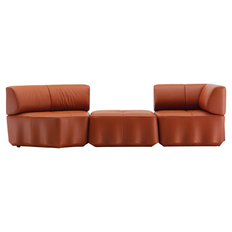 https://a.1stdibscdn.com/de-sede-ds-810-onda-sofa-by-atelier-oi-for-sale/f_16392/f_341683921683464642302/f_34168392_1683464643029_bg_processed.jpg?width=768