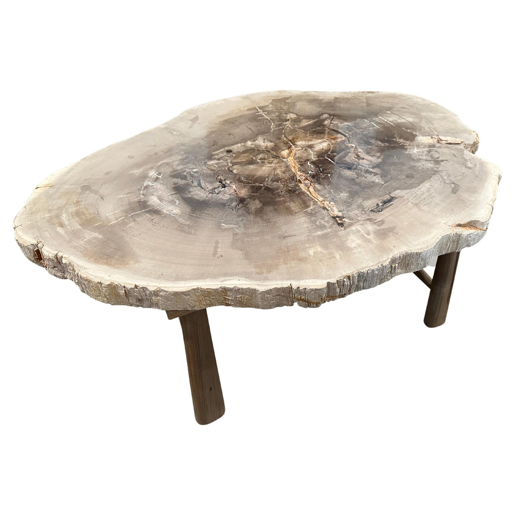 https://a.1stdibscdn.com/andrianna-shamaris-minimalist-slab-petrified-wood-coffee-table-for-sale/f_10806/f_345475321685567616535/f_34547532_1685567617769_bg_processed.jpg