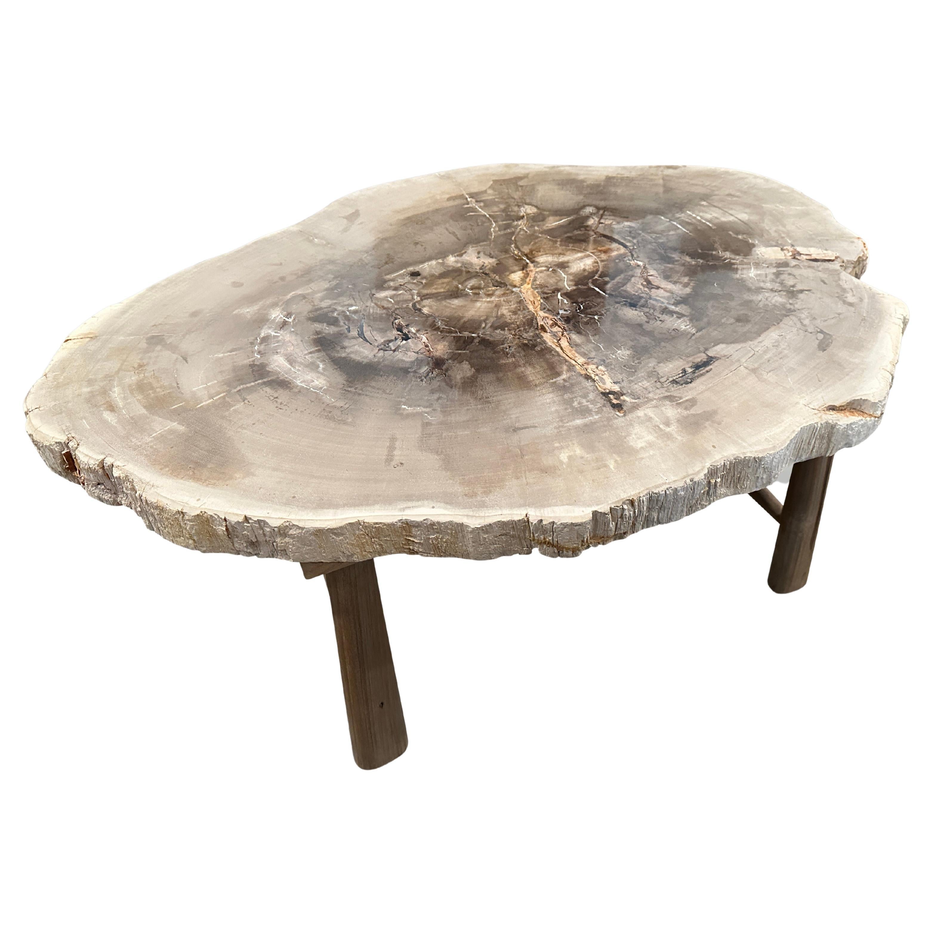https://a.1stdibscdn.com/andrianna-shamaris-minimalist-slab-petrified-wood-coffee-table-for-sale/f_10806/f_345475321685567616535/f_34547532_1685567617769_bg_processed.jpg