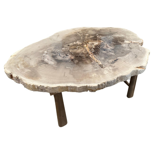 https://a.1stdibscdn.com/andrianna-shamaris-minimalist-slab-petrified-wood-coffee-table-for-sale/f_10806/f_345475321685567616535/f_34547532_1685567617769_bg_processed.jpg