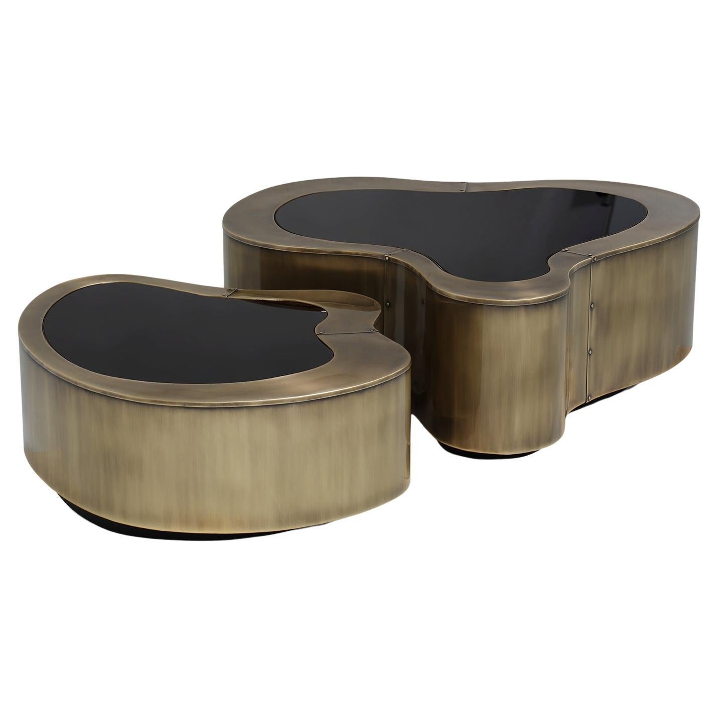 https://a.1stdibscdn.com/dalia-antique-brass-set-of-2-coffee-table-for-sale/f_14282/f_346819921686299149968/f_34681992_1686299150379_bg_processed.jpg