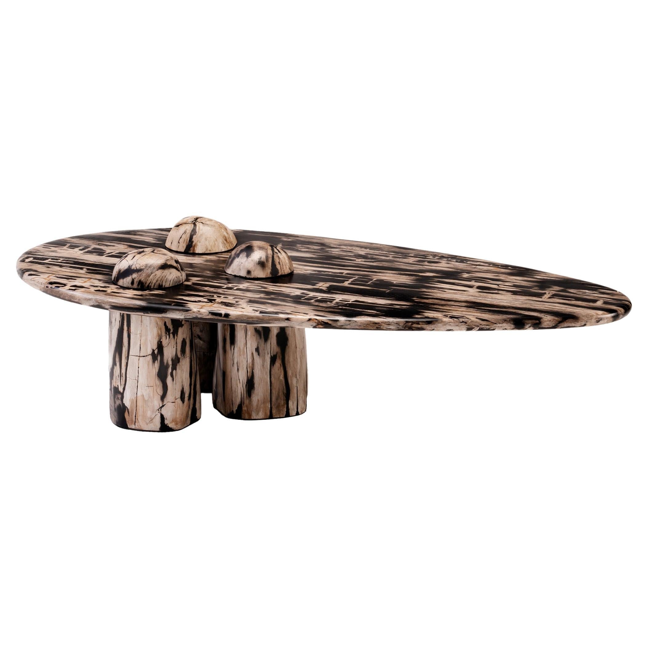https://a.1stdibscdn.com/sculptural-petrified-wood-coffee-table-rocky-montage-by-odditi-for-sale/f_90082/f_352854821689675752539/f_35285482_1689675753031_bg_processed.jpg