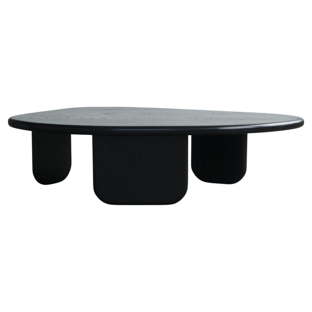 https://a.1stdibscdn.com/organic-shaped-modern-coffee-table-by-last-workshop-jet-black-ash-for-sale/f_73622/f_353503421689990998950/f_35350342_1689990999457_bg_processed.jpg