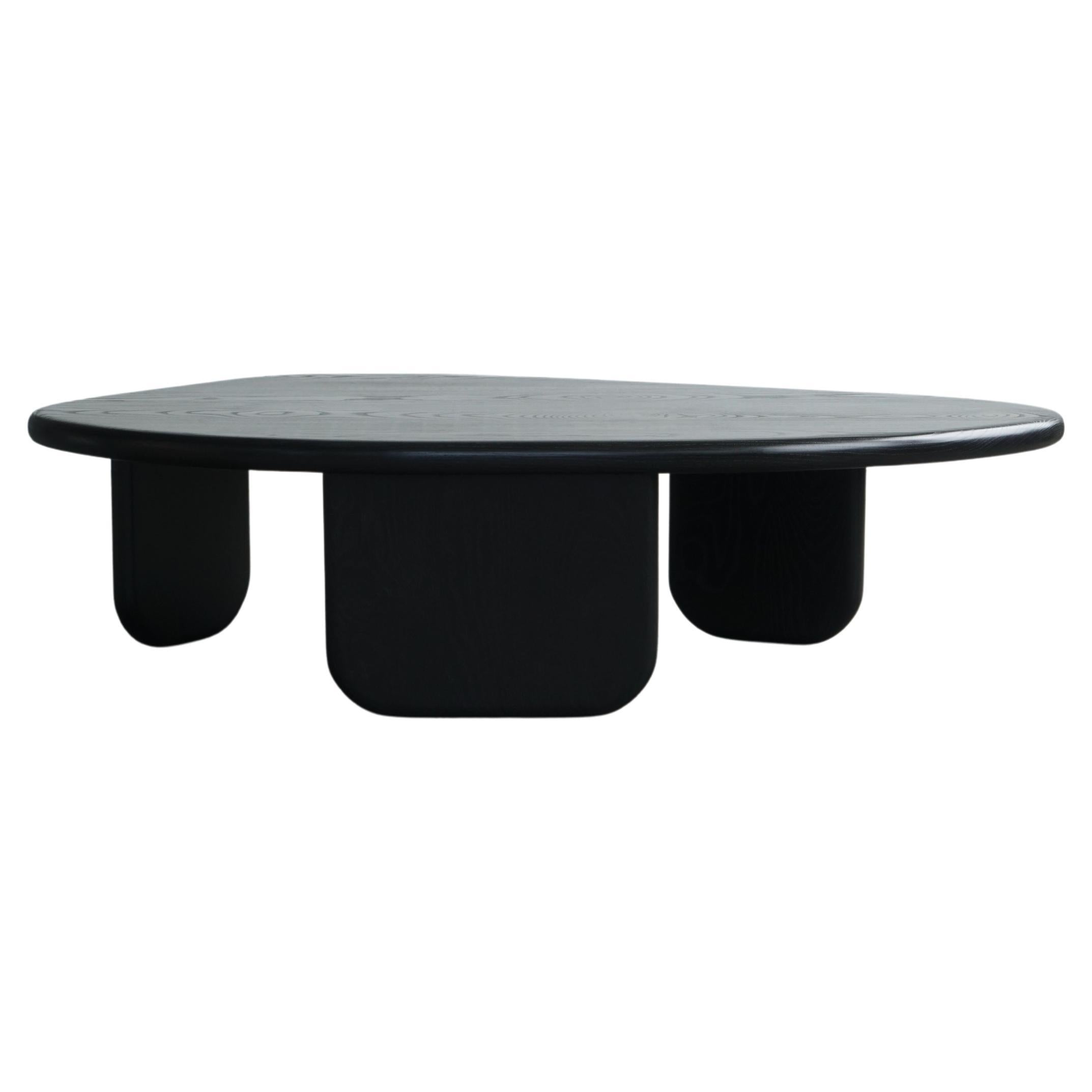 https://a.1stdibscdn.com/organic-shaped-modern-coffee-table-by-last-workshop-jet-black-ash-for-sale/f_73622/f_353503421689990998950/f_35350342_1689990999457_bg_processed.jpg