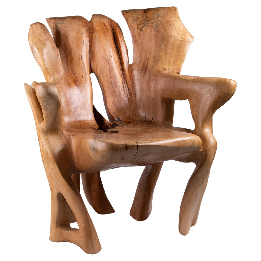 https://a.1stdibscdn.com/veles-wooden-armchar-carved-from-single-piece-of-wood-for-sale/f_80402/f_365202121696834348117/f_36520212_1696834348872_bg_processed.jpg
