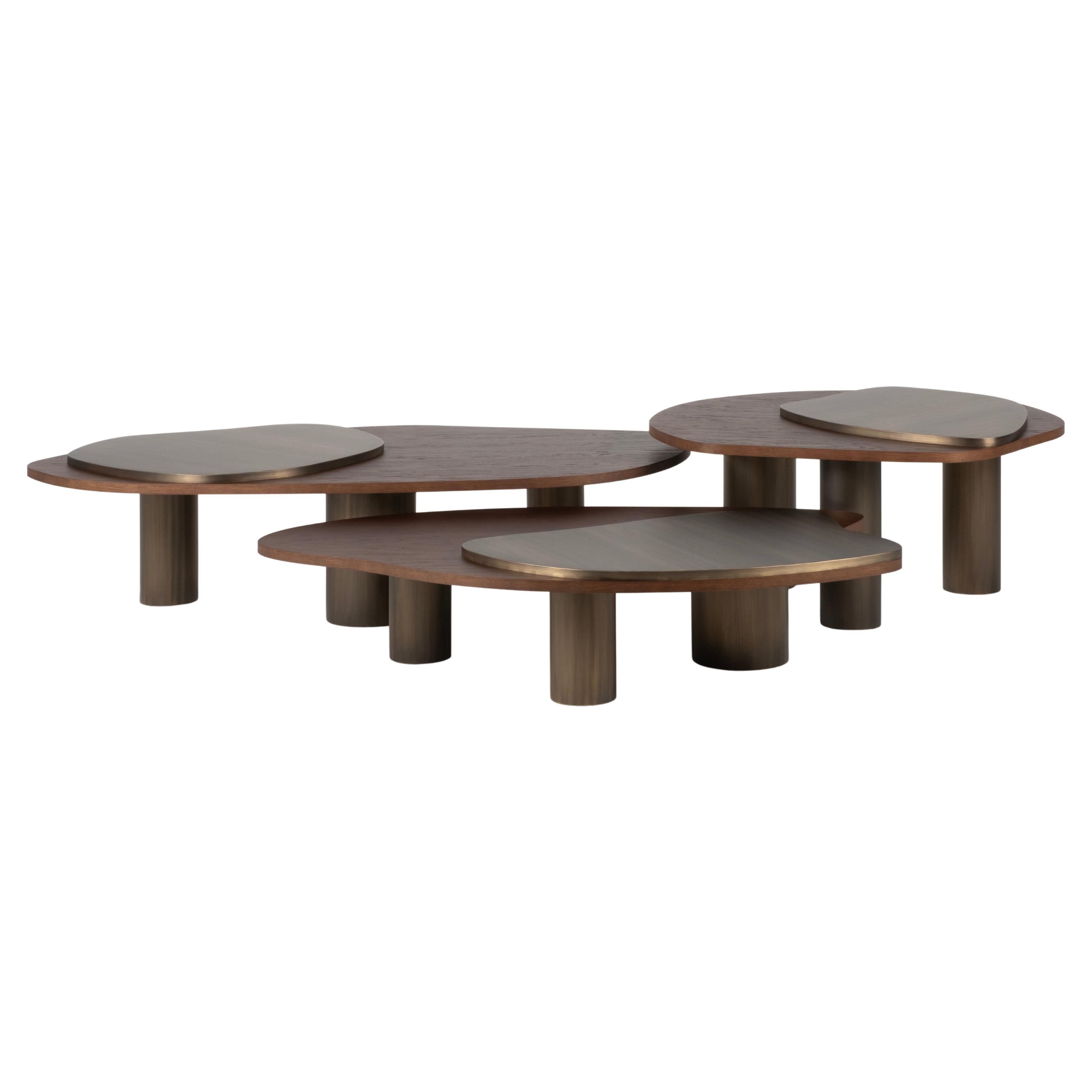 https://a.1stdibscdn.com/landscape-nesting-coffee-tables-set-of-3-walnut-oxidized-brass-greenapple-for-sale/f_53532/f_379159221705083058914/f_37915922_1705083059970_bg_processed.jpg