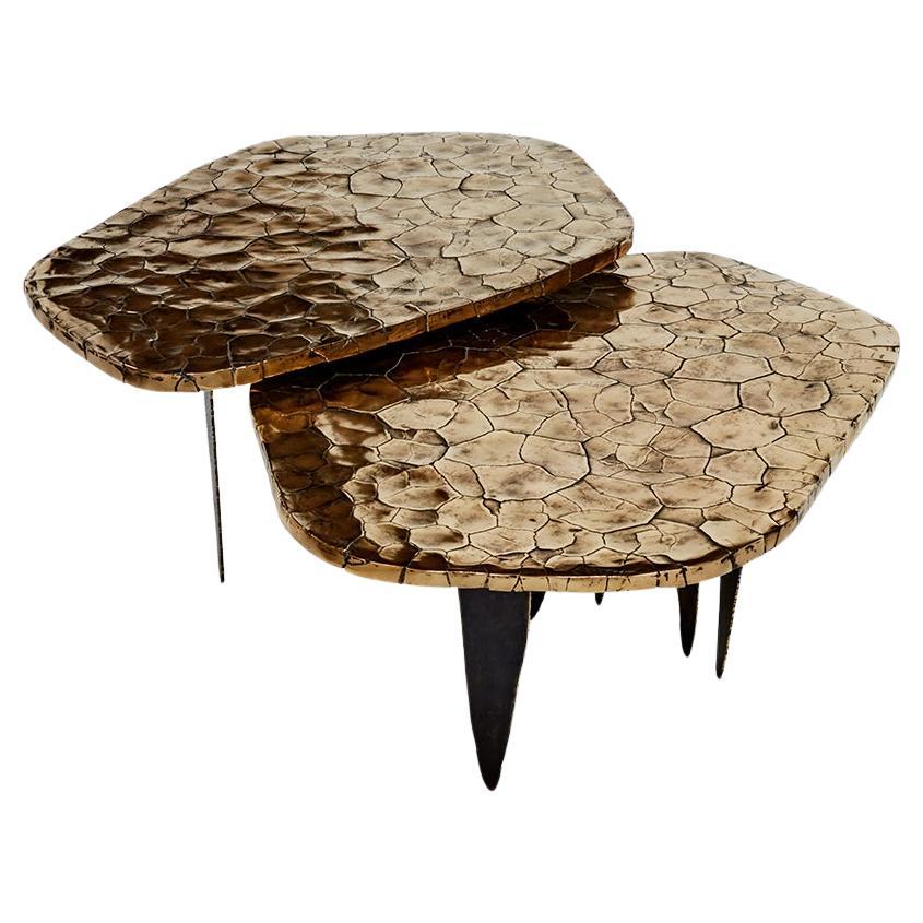 https://a.1stdibscdn.com/crackled-earth-coffee-table-by-erwan-boulloud-for-sale/f_9680/f_382482021707041539500/f_38248202_1707041539722_bg_processed.jpg