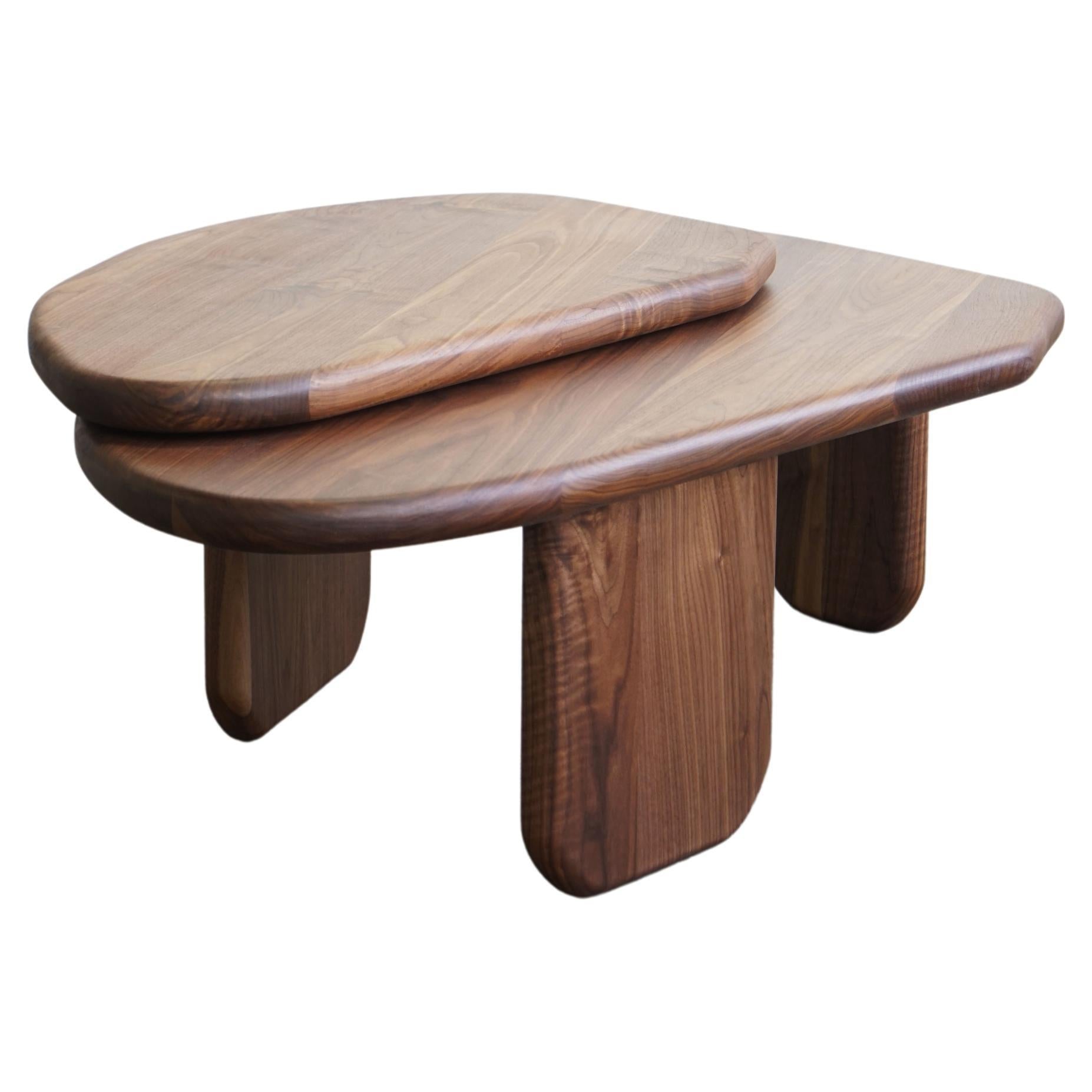 https://a.1stdibscdn.com/organic-shaped-modern-coffee-table-organic-20-by-last-workshop-walnut-for-sale/f_73622/f_385403421708695375242/f_38540342_1708695375838_bg_processed.jpg