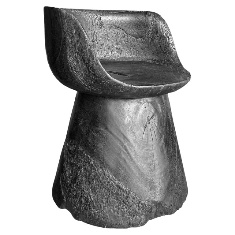https://a.1stdibscdn.com/sculptural-chair-carved-from-solid-suar-wood-modern-organic-for-sale/f_58812/f_391729921712482679562/f_39172992_1712482680064_bg_processed.jpg?width=768