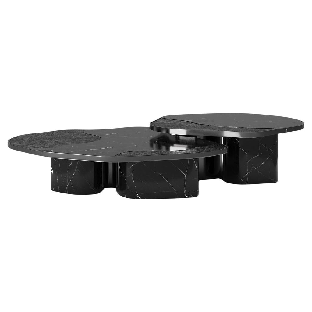 https://a.1stdibscdn.com/merida-black-marble-set-of-2-coffee-table-for-sale/f_14282/f_403237021719312916674/f_40323702_1719312916939_bg_processed.jpg