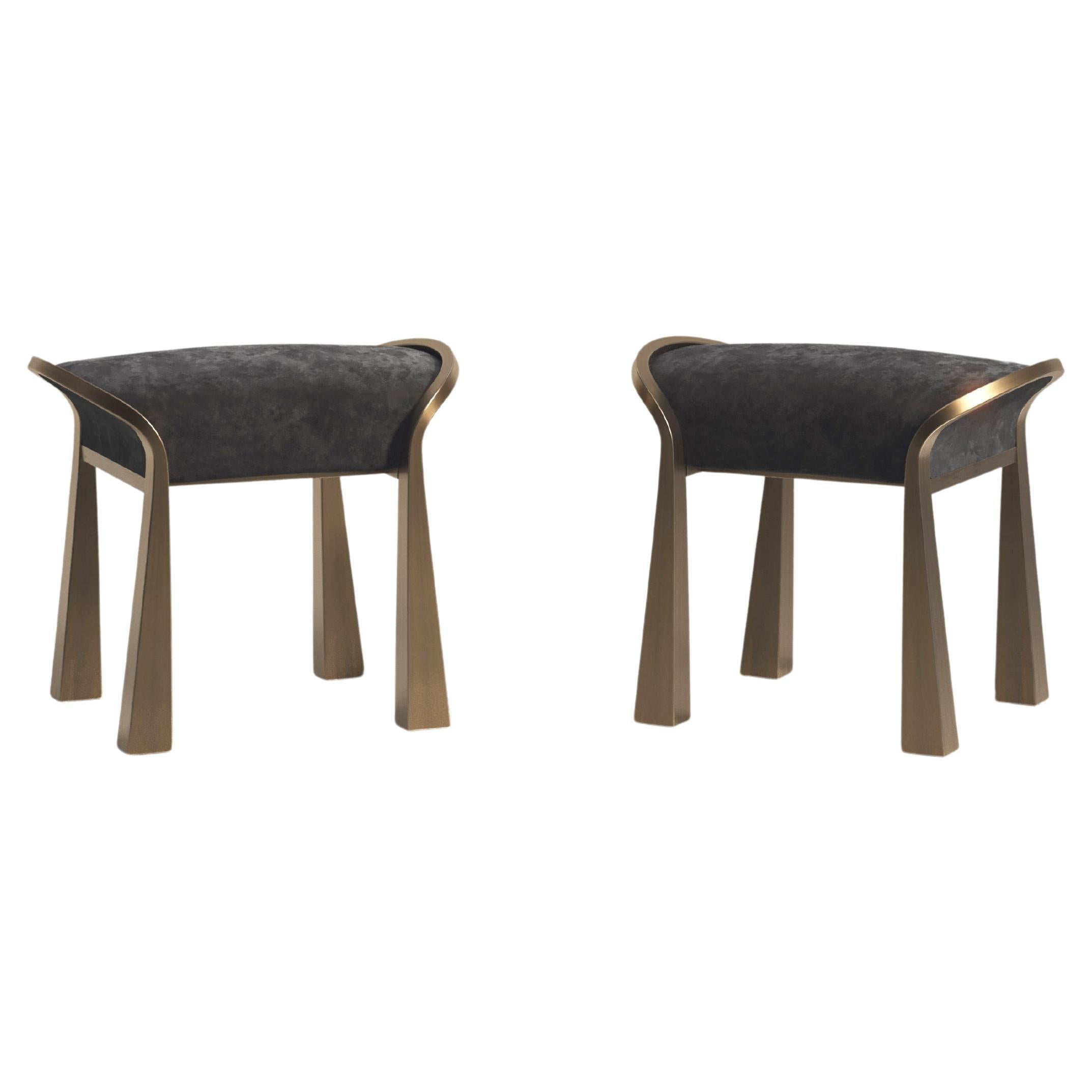 https://a.1stdibscdn.com/pair-of-velvet-upholstered-stools-with-sculptural-brass-legs-by-ry-augousti-for-sale/f_45491/f_406494521721119649571/f_40649452_1721119650052_bg_processed.jpg