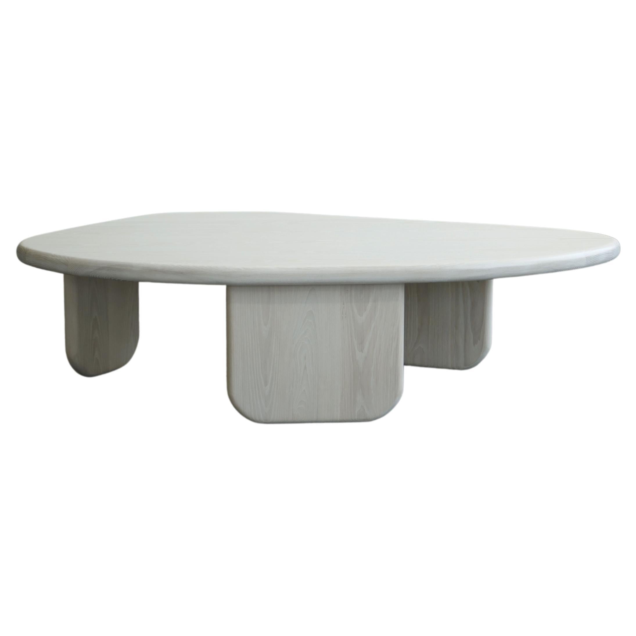 https://a.1stdibscdn.com/organic-shaped-modern-coffee-table-by-last-workshop-bleached-ash-for-sale/f_73622/f_407482521721698857353/f_40748252_1721698857847_bg_processed.jpg