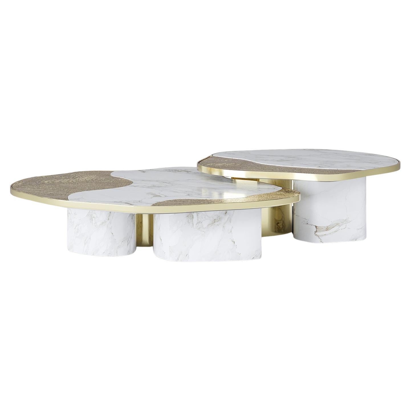 https://a.1stdibscdn.com/merida-white-marble-set-of-2-coffee-table-for-sale/f_14282/f_411077621723918747351/f_41107762_1723918747639_bg_processed.jpg