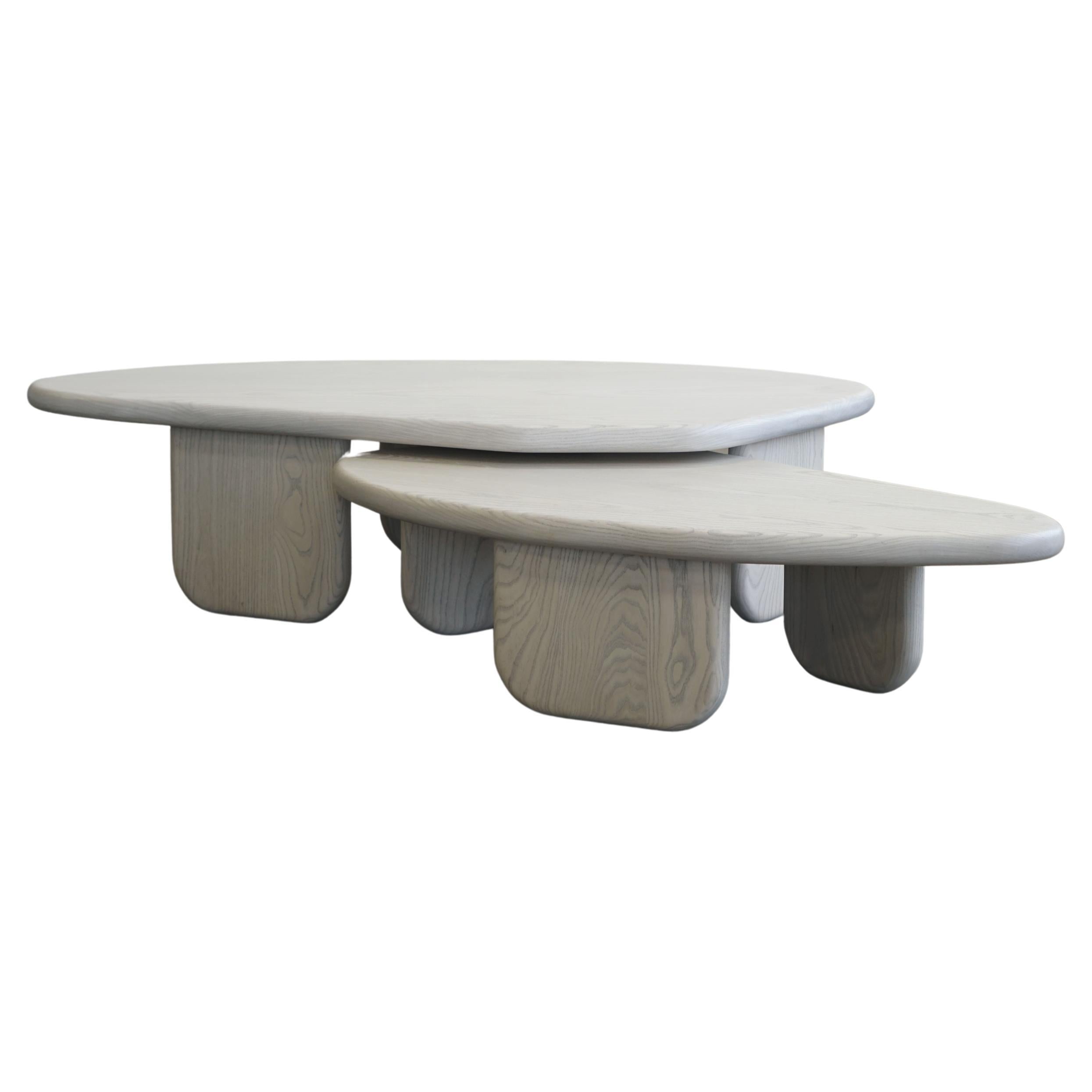 https://a.1stdibscdn.com/organic-shaped-modern-nesting-coffee-tables-by-last-workshop-silk-grey-ash-for-sale/f_73622/f_414809021726361992975/f_41480902_1726361993580_bg_processed.jpg