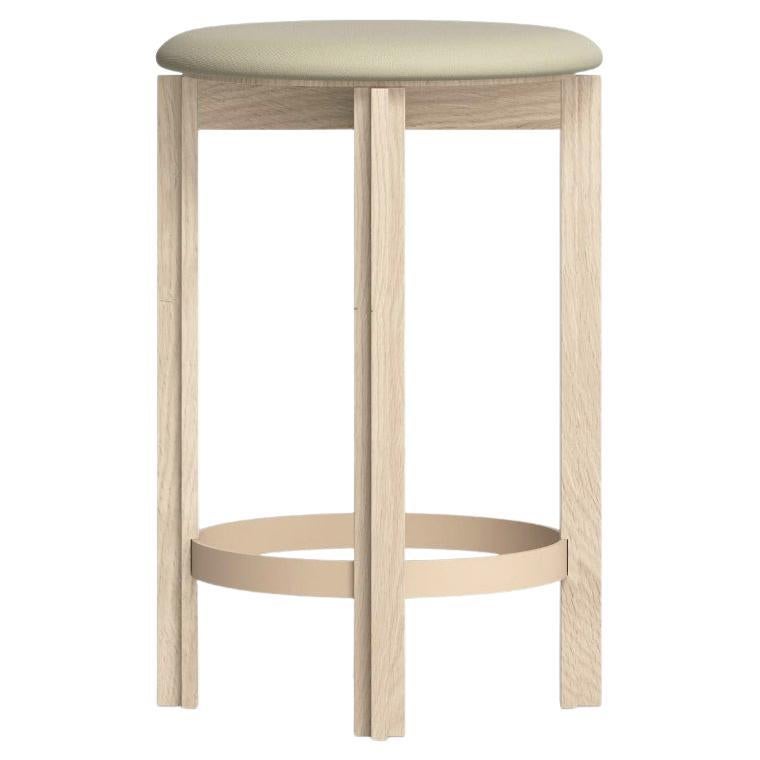 https://a.1stdibscdn.com/bodil-kjaer-white-stained-oak-principal-counter-stool-for-karakter-for-sale/f_14272/f_417127321727872327580/f_41712732_1727872327897_bg_processed.jpg