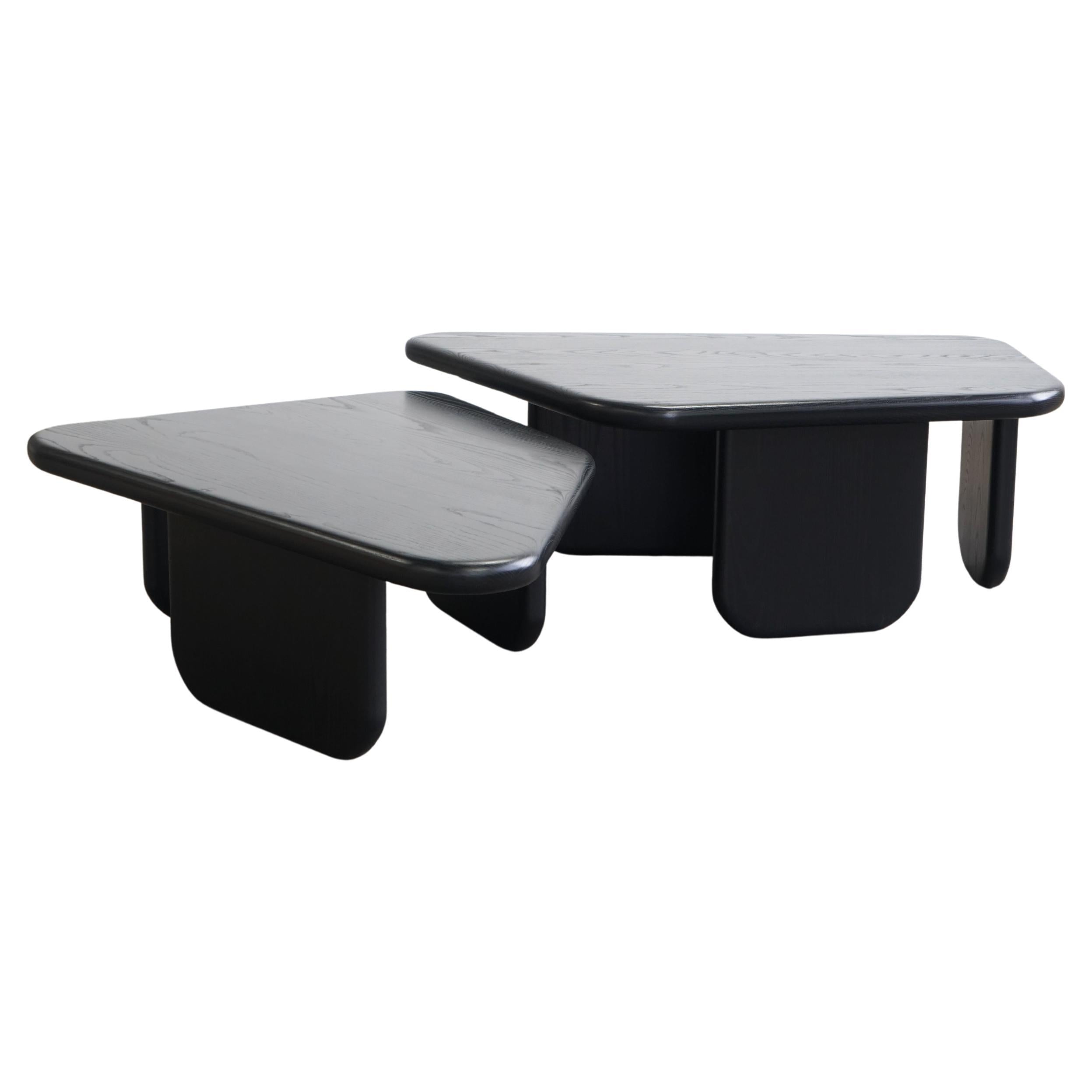 https://a.1stdibscdn.com/ns3-modern-nesting-coffee-tables-by-last-workshop-black-ash-for-sale/f_73622/f_419002321729045349090/f_41900232_1729045349763_bg_processed.jpg