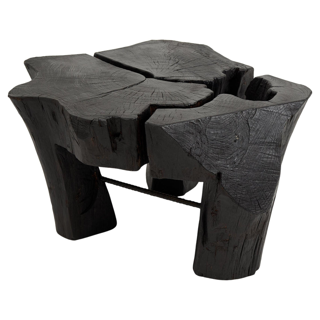 https://a.1stdibscdn.com/logniture-rustic-sculptural-coffee-table-burnt-black-oak-wood-unique-for-sale/f_80402/f_419380321729260887454/f_41938032_1729260888317_bg_processed.jpg