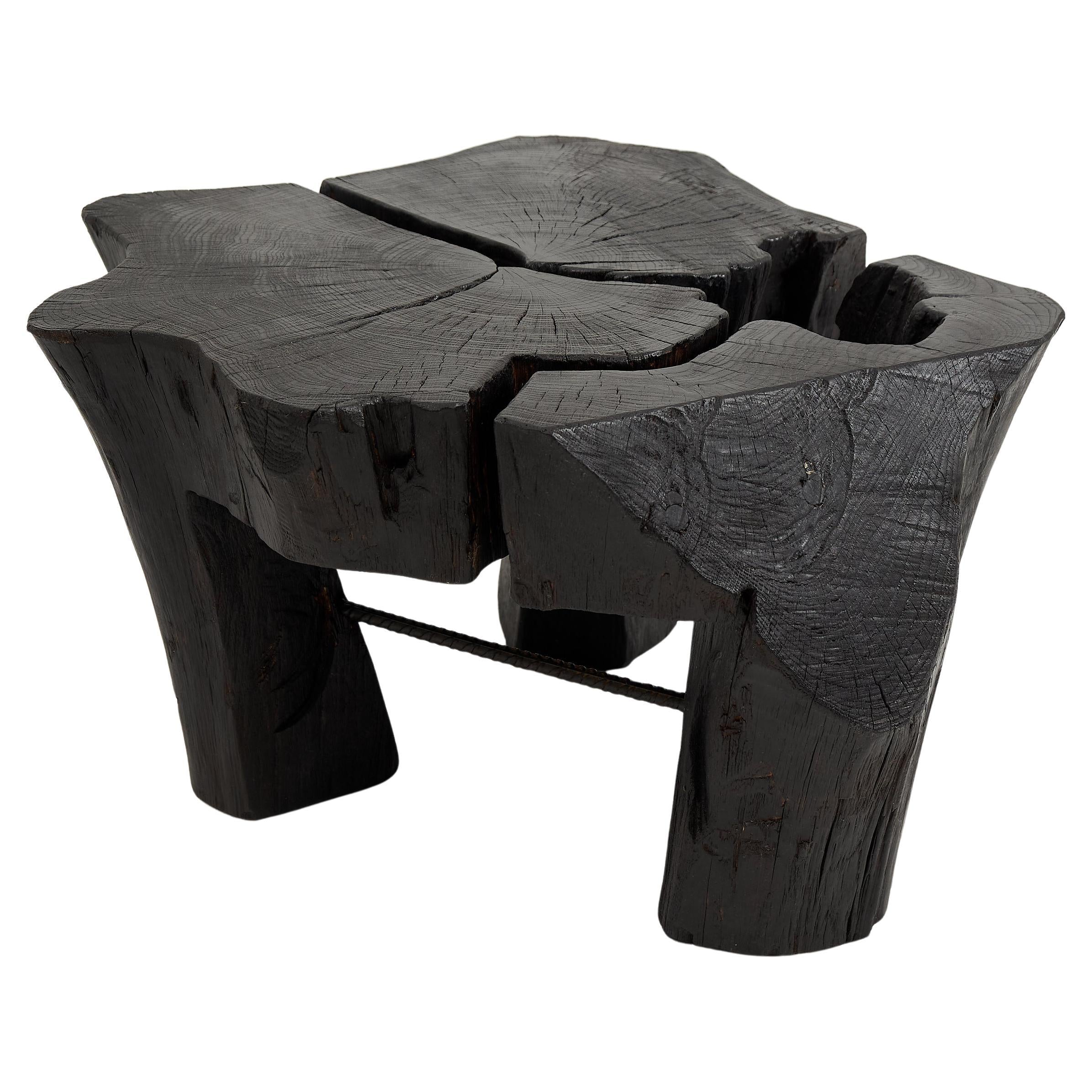 https://a.1stdibscdn.com/logniture-rustic-sculptural-coffee-table-burnt-black-oak-wood-unique-for-sale/f_80402/f_419380321729260887454/f_41938032_1729260888317_bg_processed.jpg