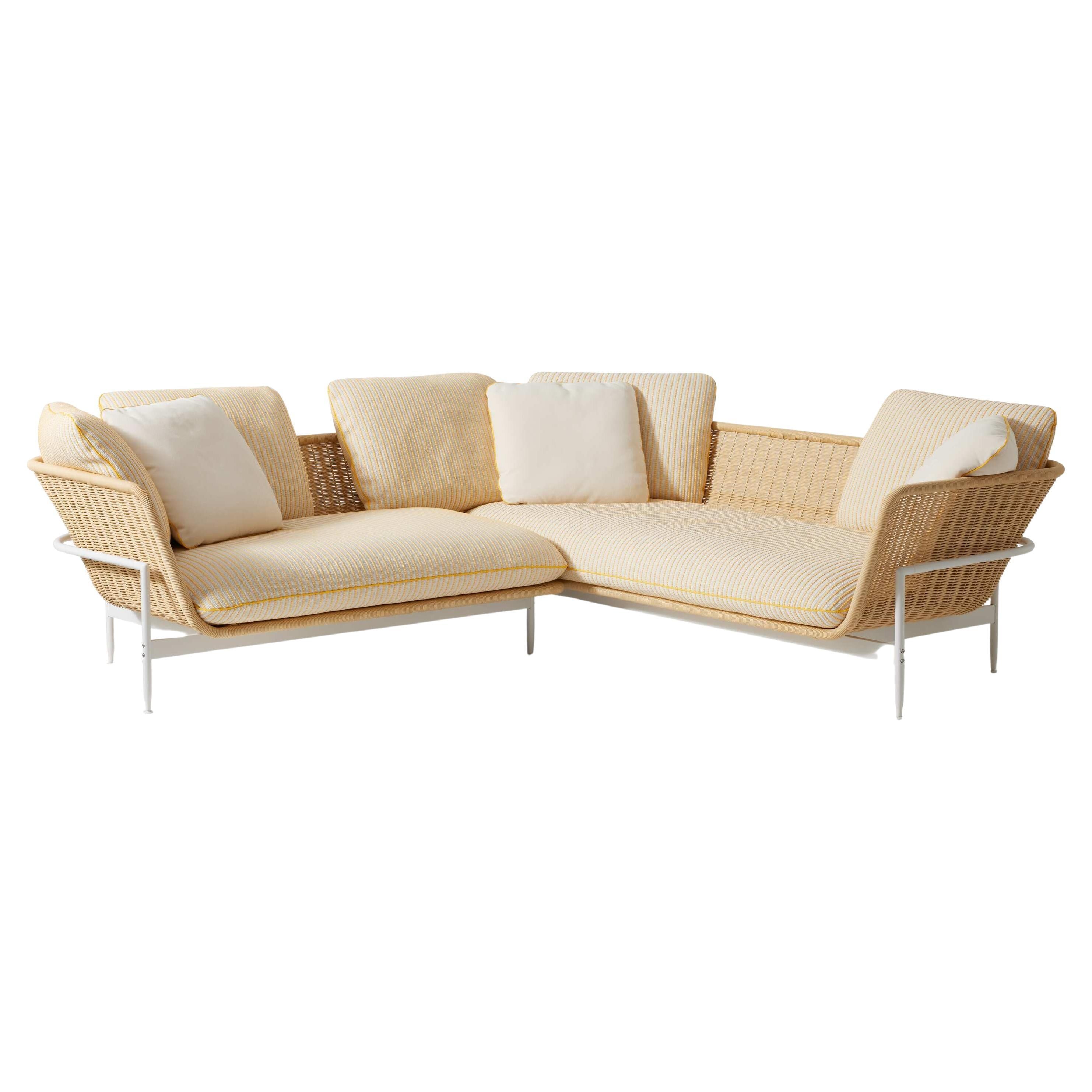 https://a.1stdibscdn.com/antonio-citterio-set-of-two-esosoft-outdoor-sofa-for-cassina-for-sale/f_14272/f_422258821731071371584/f_42225882_1731071372559_bg_processed.jpg