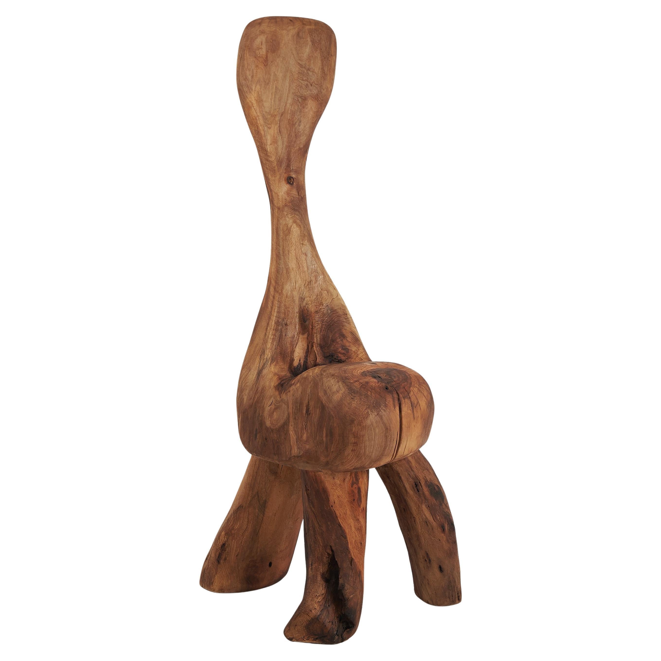 https://a.1stdibscdn.com/logniture-sculptural-carved-chair-from-walnut-wood-log-furniture-unique-for-sale/f_80402/f_422265321731072696716/f_42226532_1731072697599_bg_processed.jpg